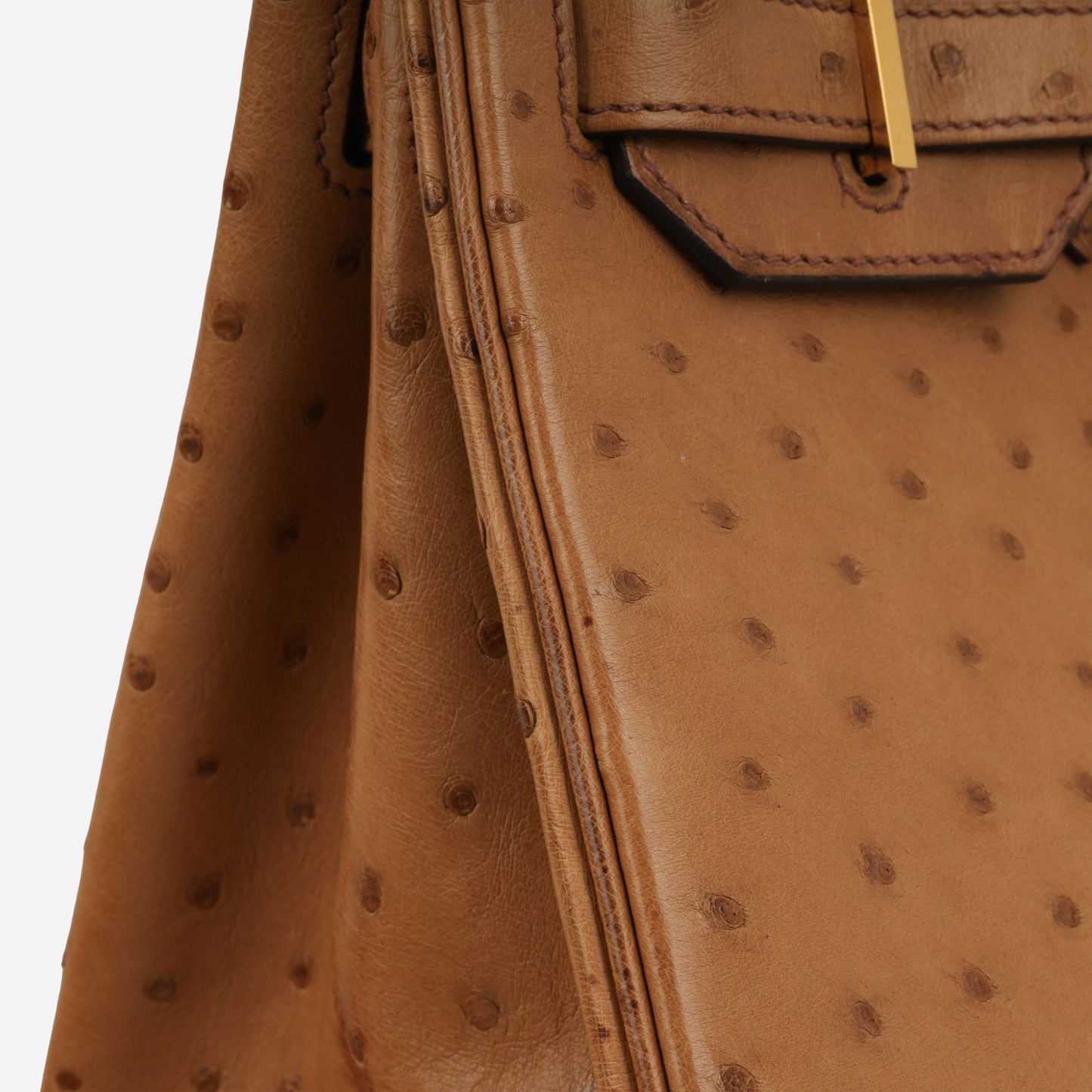 Hermès Birkin 30 - Cognac Ostich | Gold Hardware