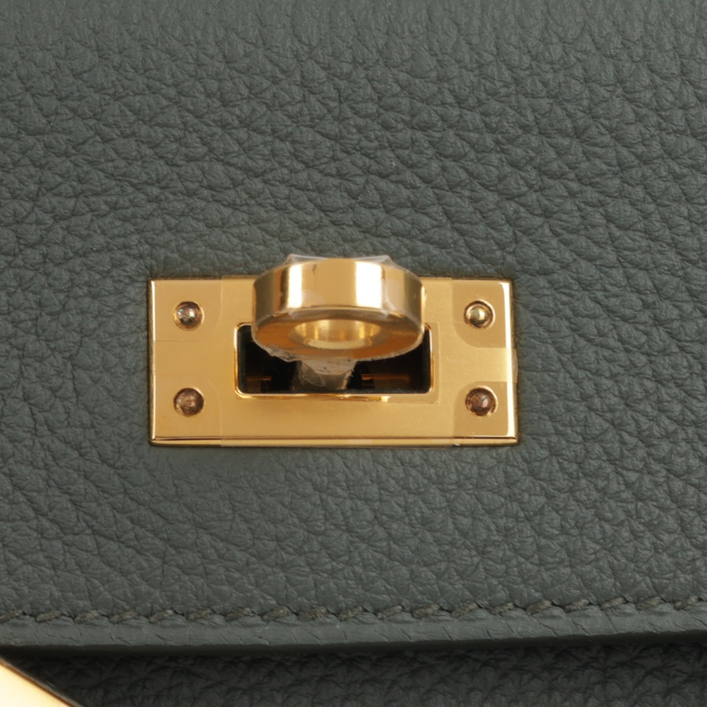 Hermès Kelly 25 - Vert Amande Togo | Gold Hardware