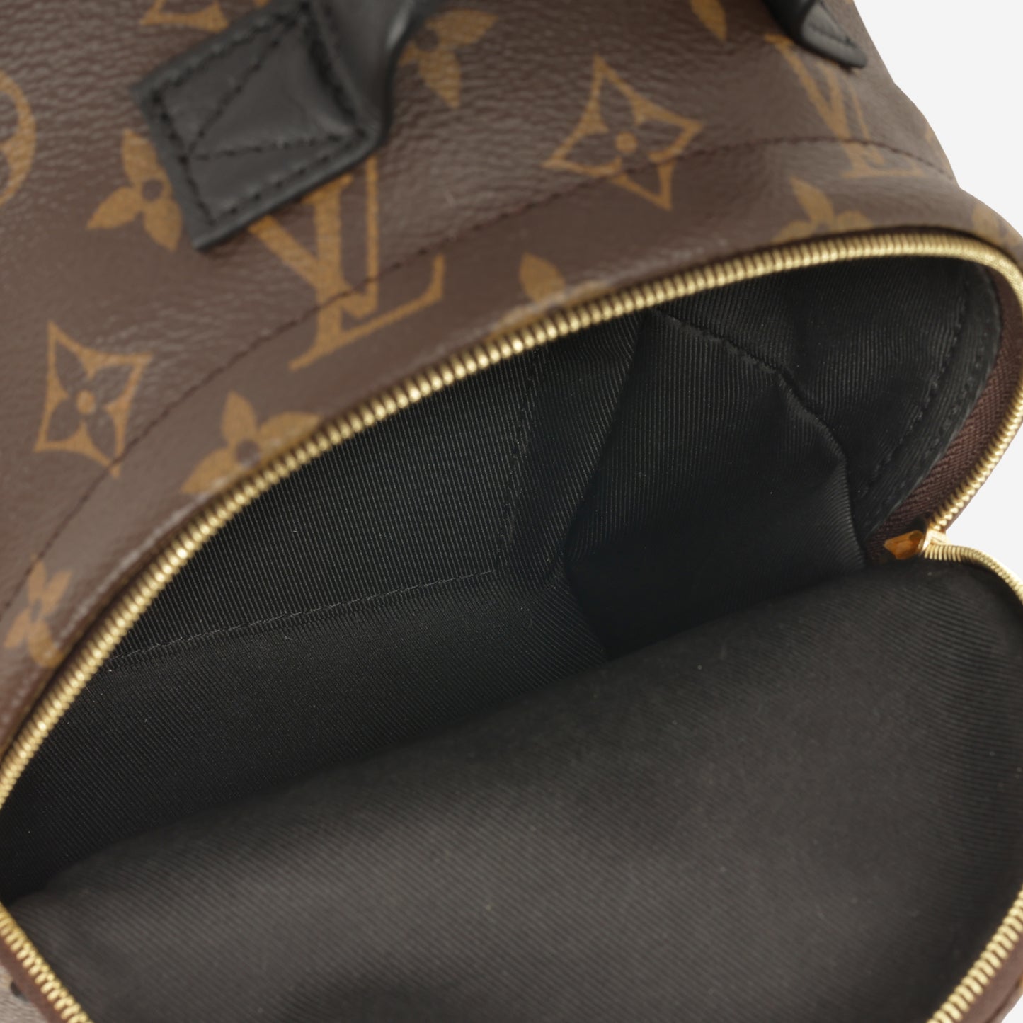 Louis Vuitton Mini Palm Spring Backpack - Monogram | Gold Hardware
