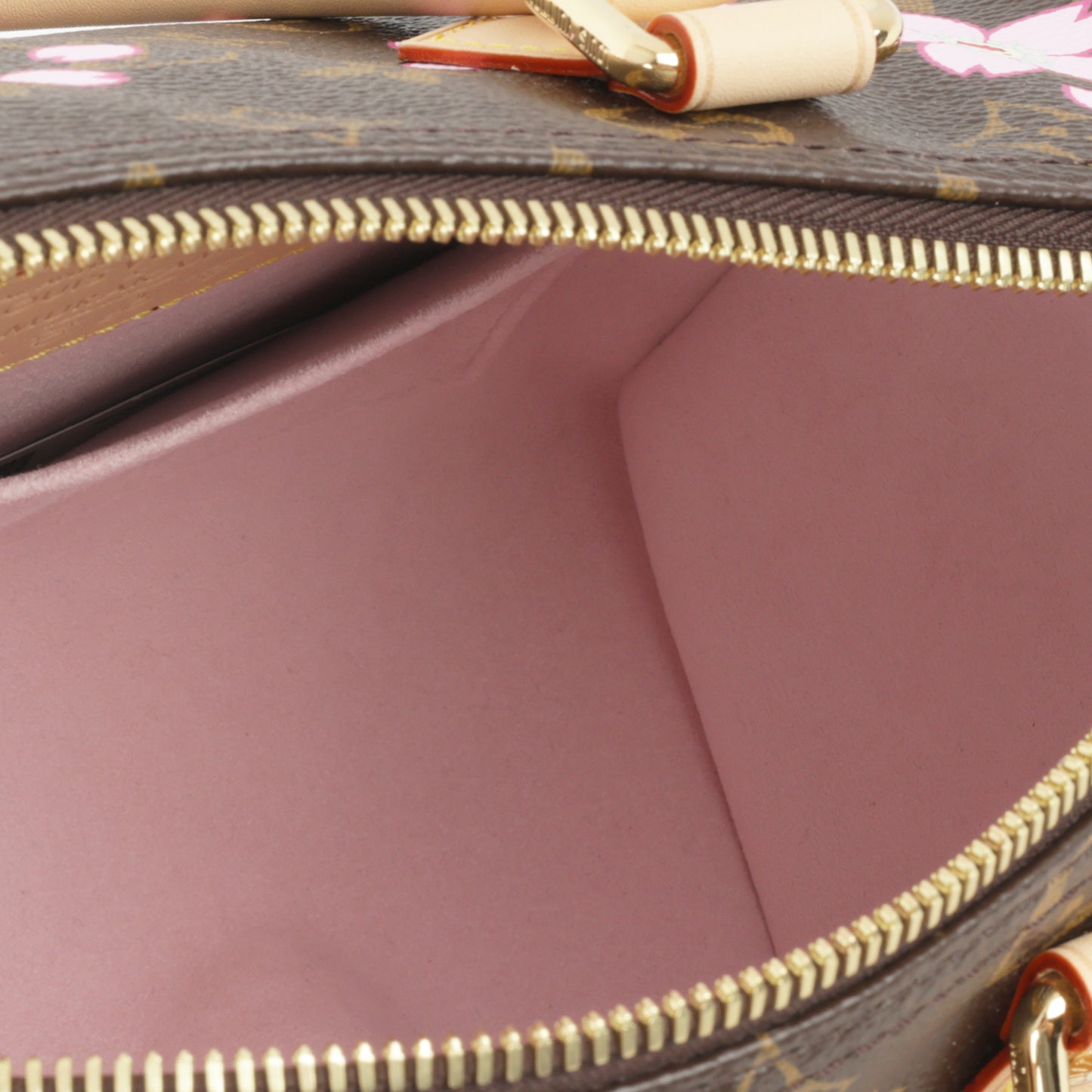 Louis Vuitton Speedy 25 Takashi Murakami - Cherry Blossom Monogram | Gold Hardware