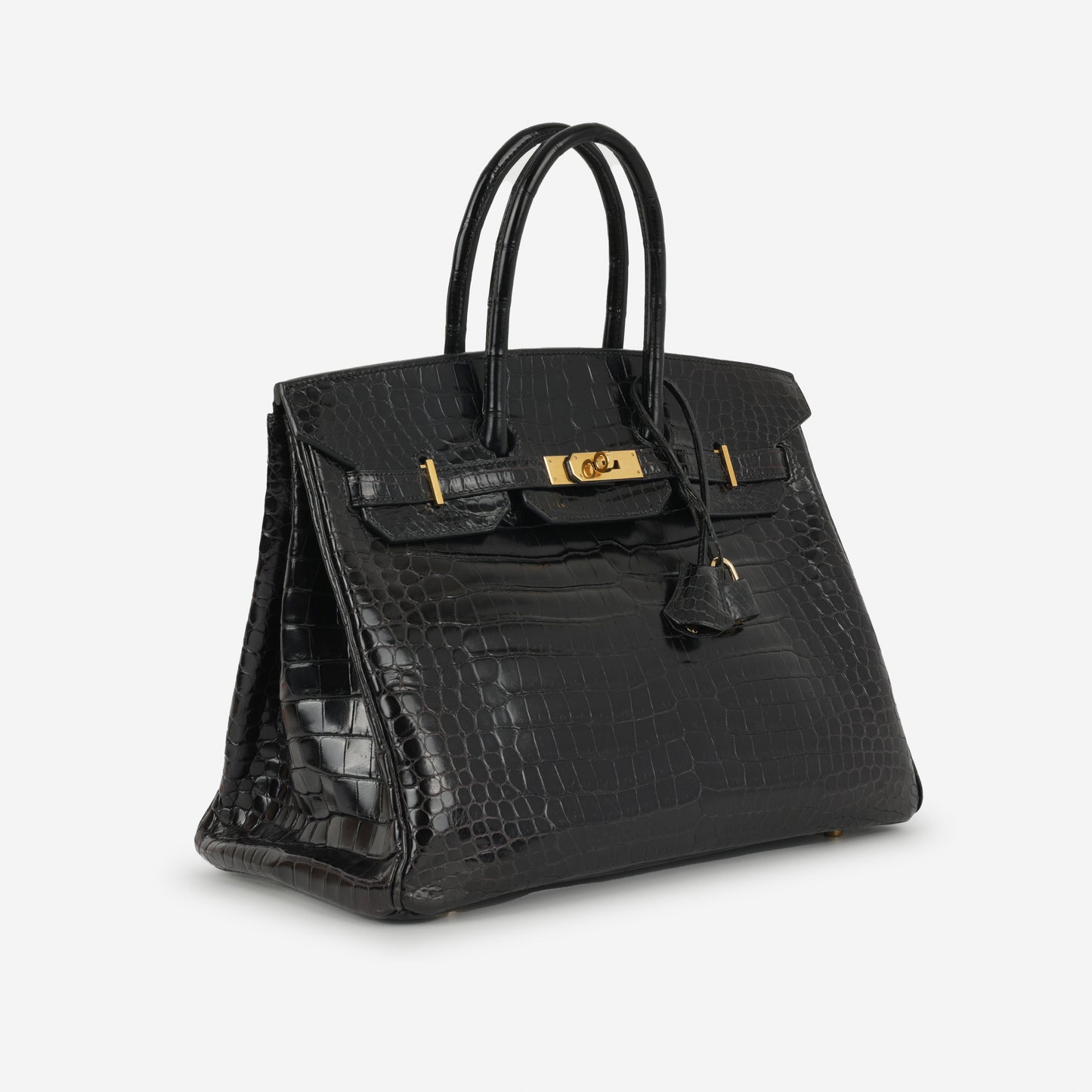 Hermès Birkin 35 - Noir Matte Crocodile Porosus | Gold Hardware