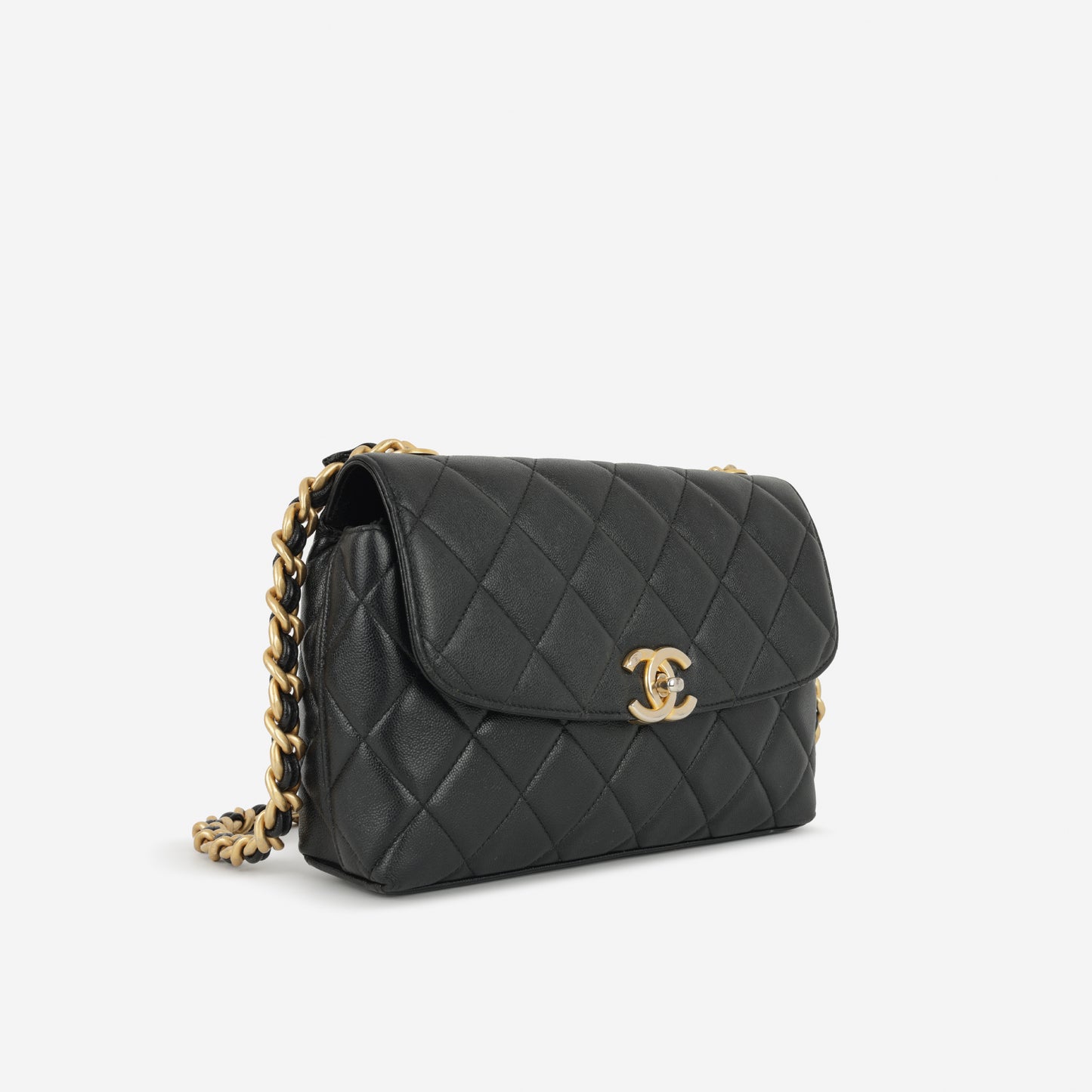 Chanel Seasonal 2023 Flap Bag - Black Caviar | Gold Hardware