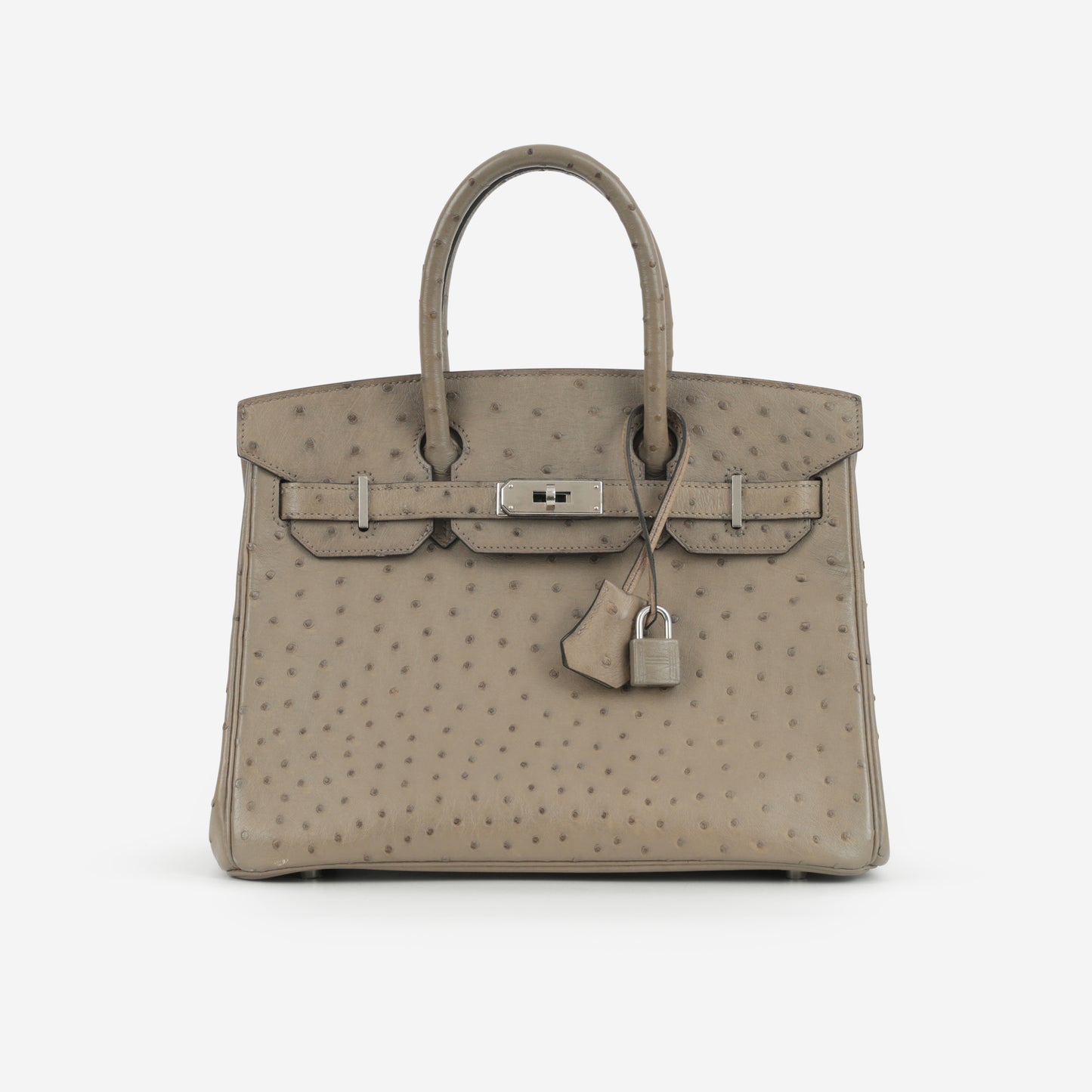 Hermès Birkin 30 - Mousse Ostrich | Palladium Hardware