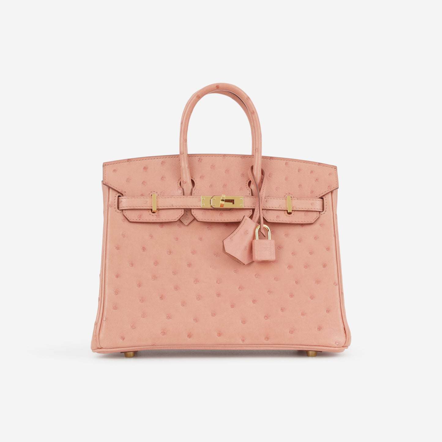 Hermès Birkin 25 - Terre Cuite Ostrich | Gold Hardware