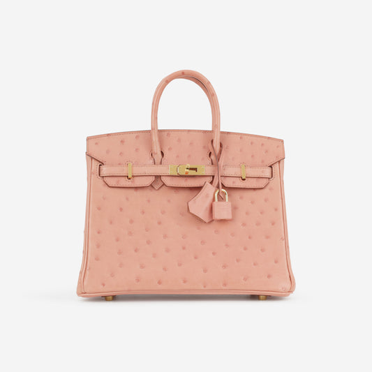 Hermès Birkin 25 - Terre Cuite Ostrich | Gold Hardware