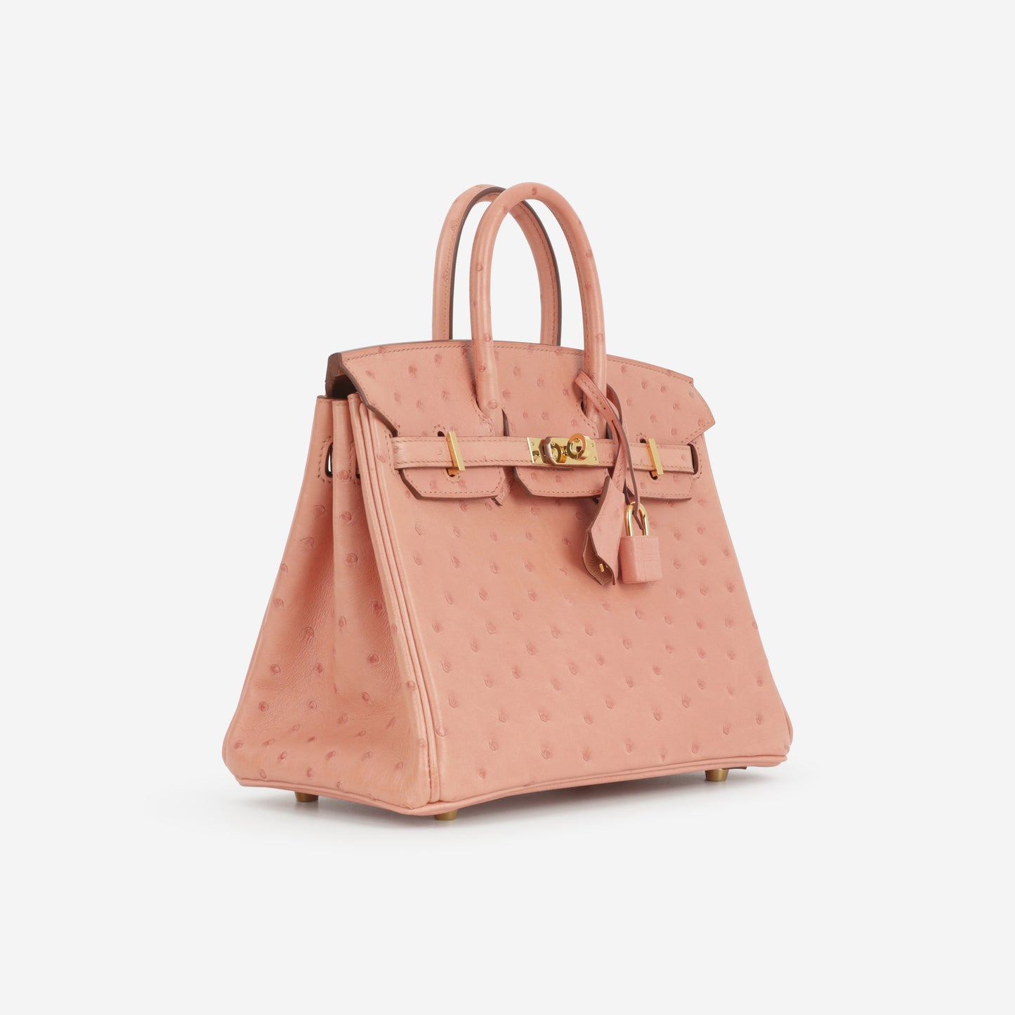 Hermès Birkin 25 - Terre Cuite Ostrich | Gold Hardware