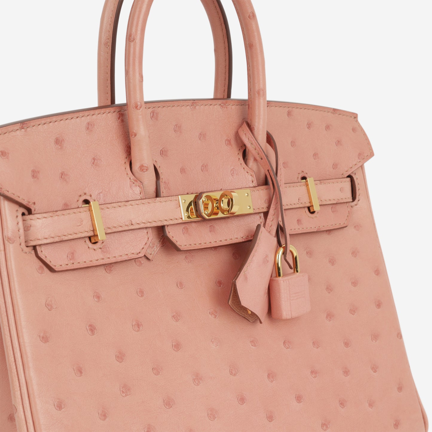 Hermès Birkin 25 - Terre Cuite Ostrich | Gold Hardware