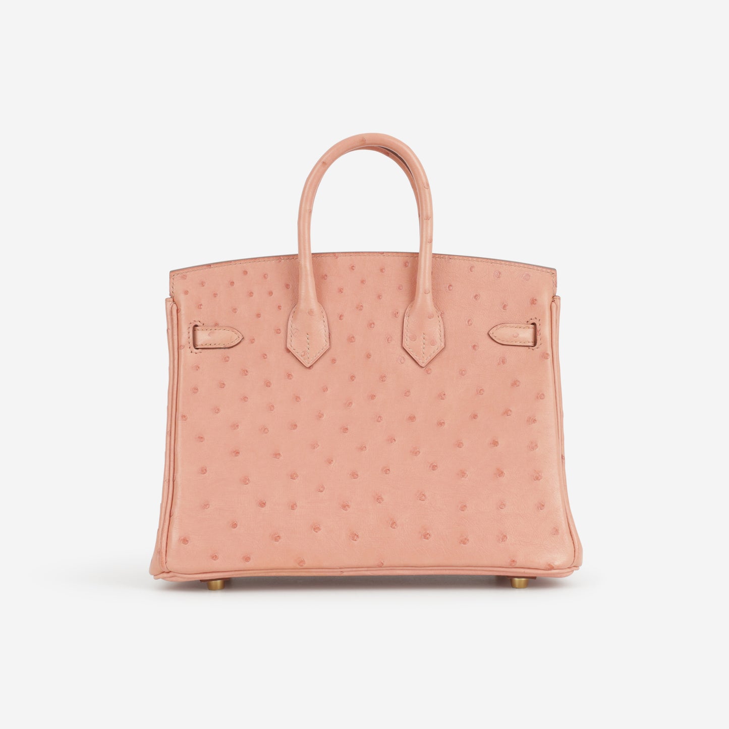 Hermès Birkin 25 - Terre Cuite Ostrich | Gold Hardware