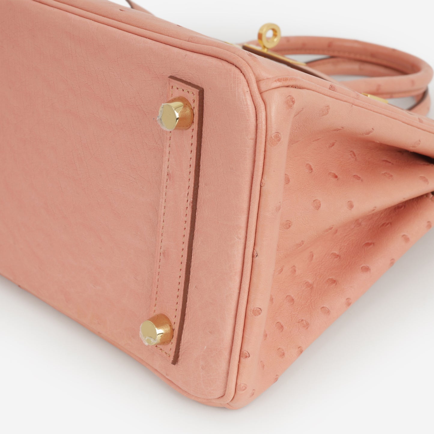 Hermès Birkin 25 - Terre Cuite Ostrich | Gold Hardware