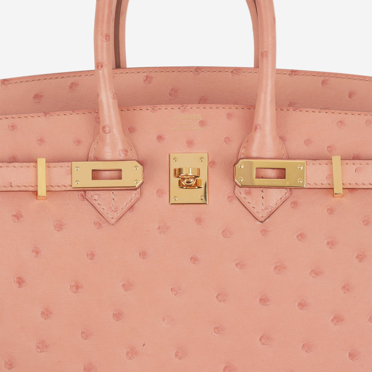 Hermès Birkin 25 - Terre Cuite Ostrich | Gold Hardware