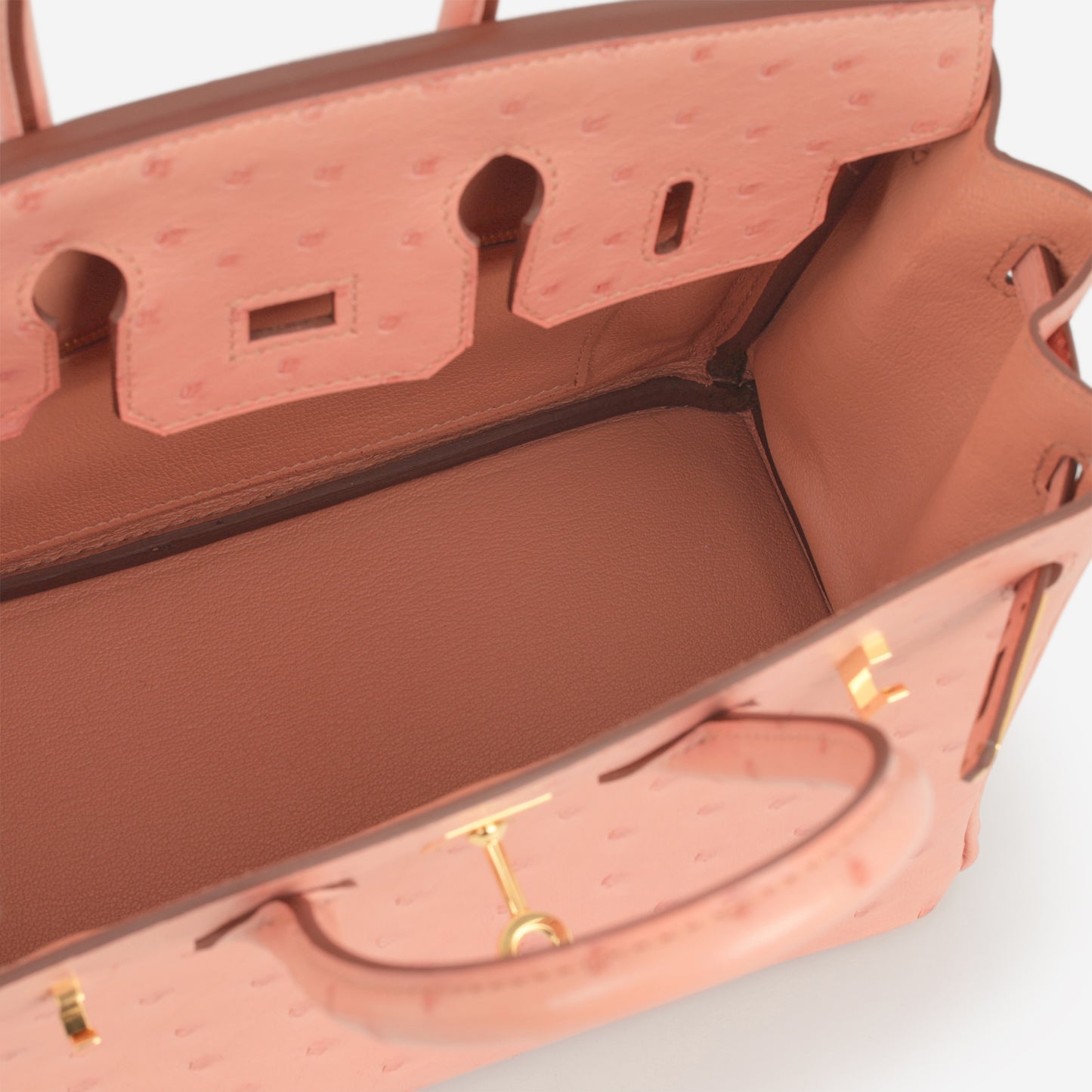 Hermès Birkin 25 - Terre Cuite Ostrich | Gold Hardware