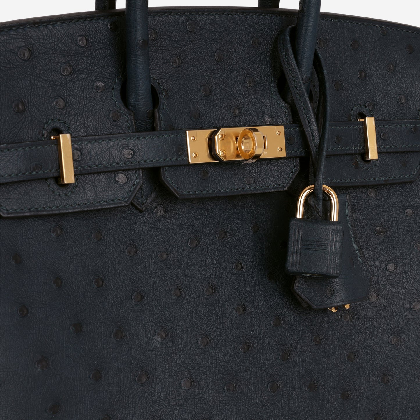 Hermès Birkin 25 - Vert Cypres Ostrich | Gold Hardware