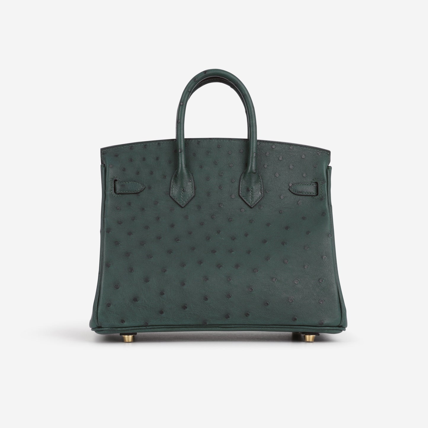 Hermès Birkin 25 - Vert Cypres Ostrich | Gold Hardware