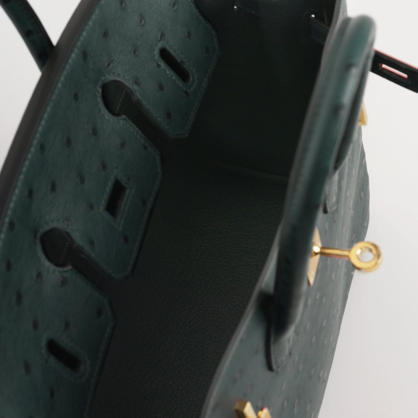 Hermès Birkin 25 - Vert Cypres Ostrich | Gold Hardware