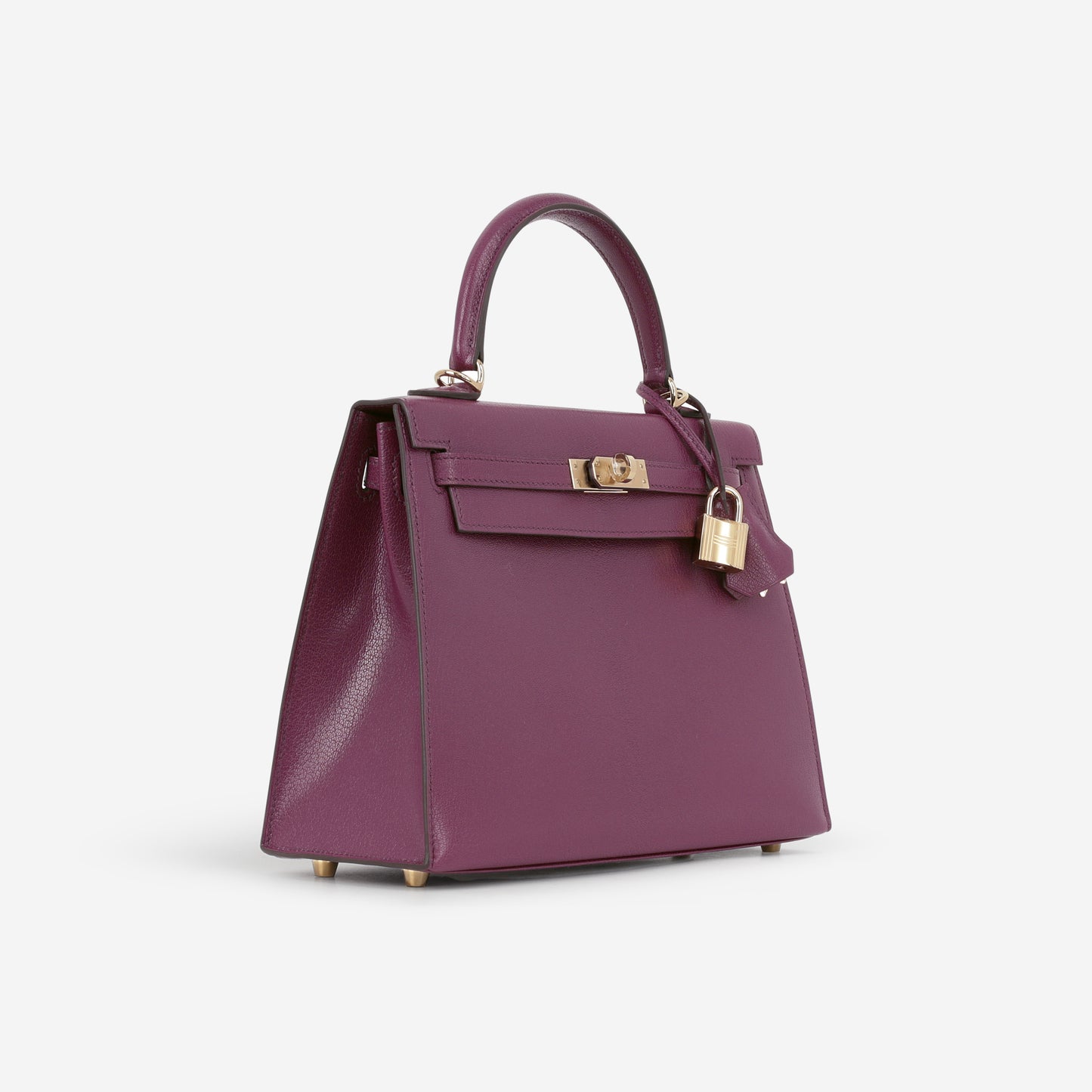 Hermès Kelly 25 - Anemone Chevre Chamkila | Permbrass Hardware