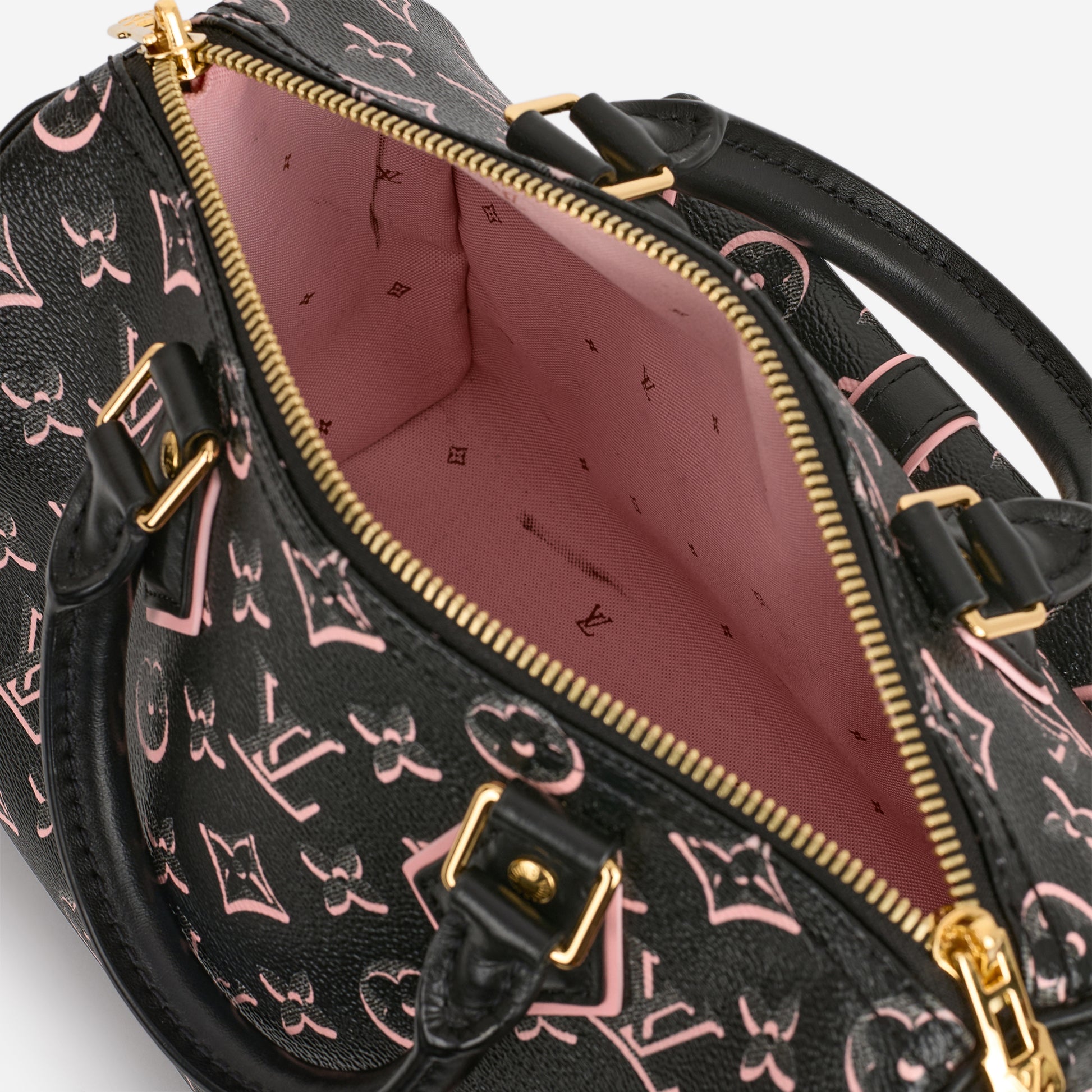 Louis Vuitton Speedy 25 Bandoulieré Fall For You - Bagista