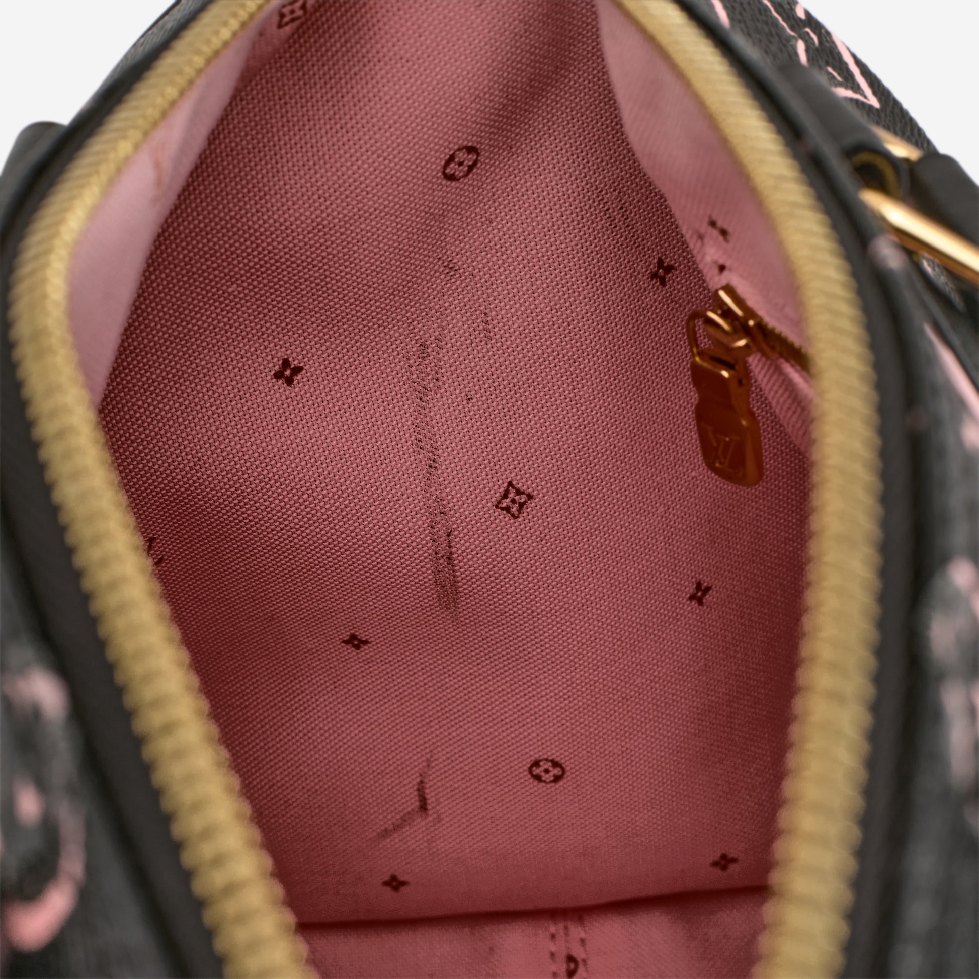 Louis Vuitton Speedy 25 Bandoulieré Fall For You - Bagista