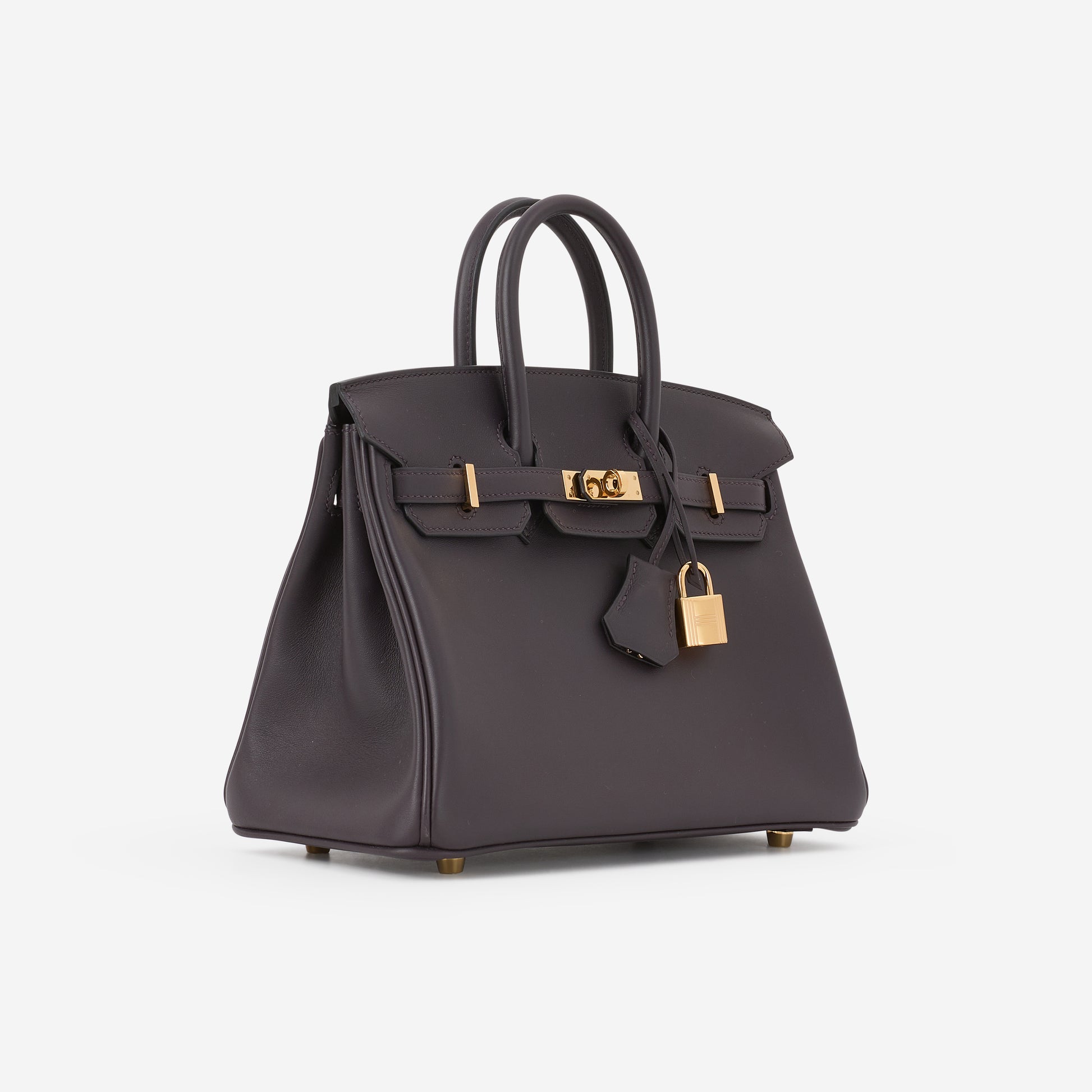 Hermès Birkin 25 - Prunoir Swift | Gold hardware - Bagista