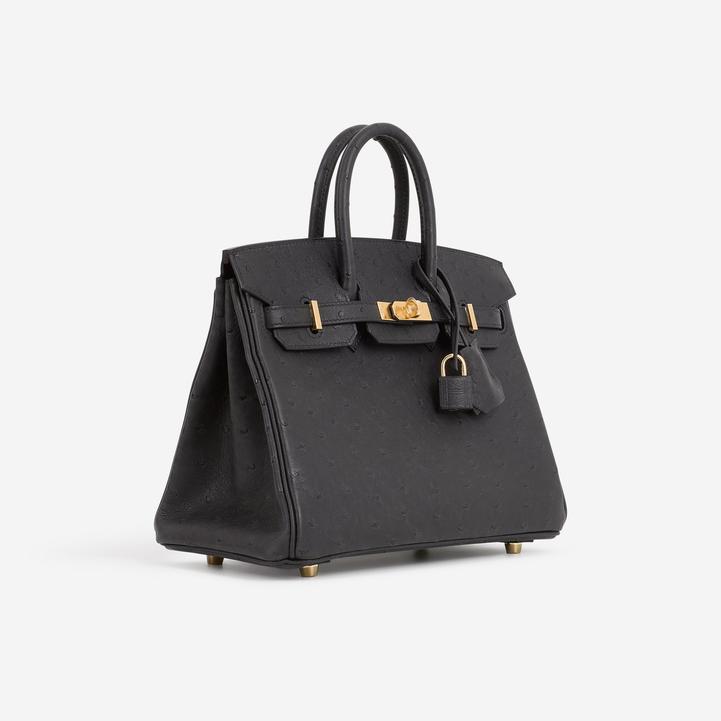 Hermès Birkin 25 - Black Ostrich | Gold Hardware
