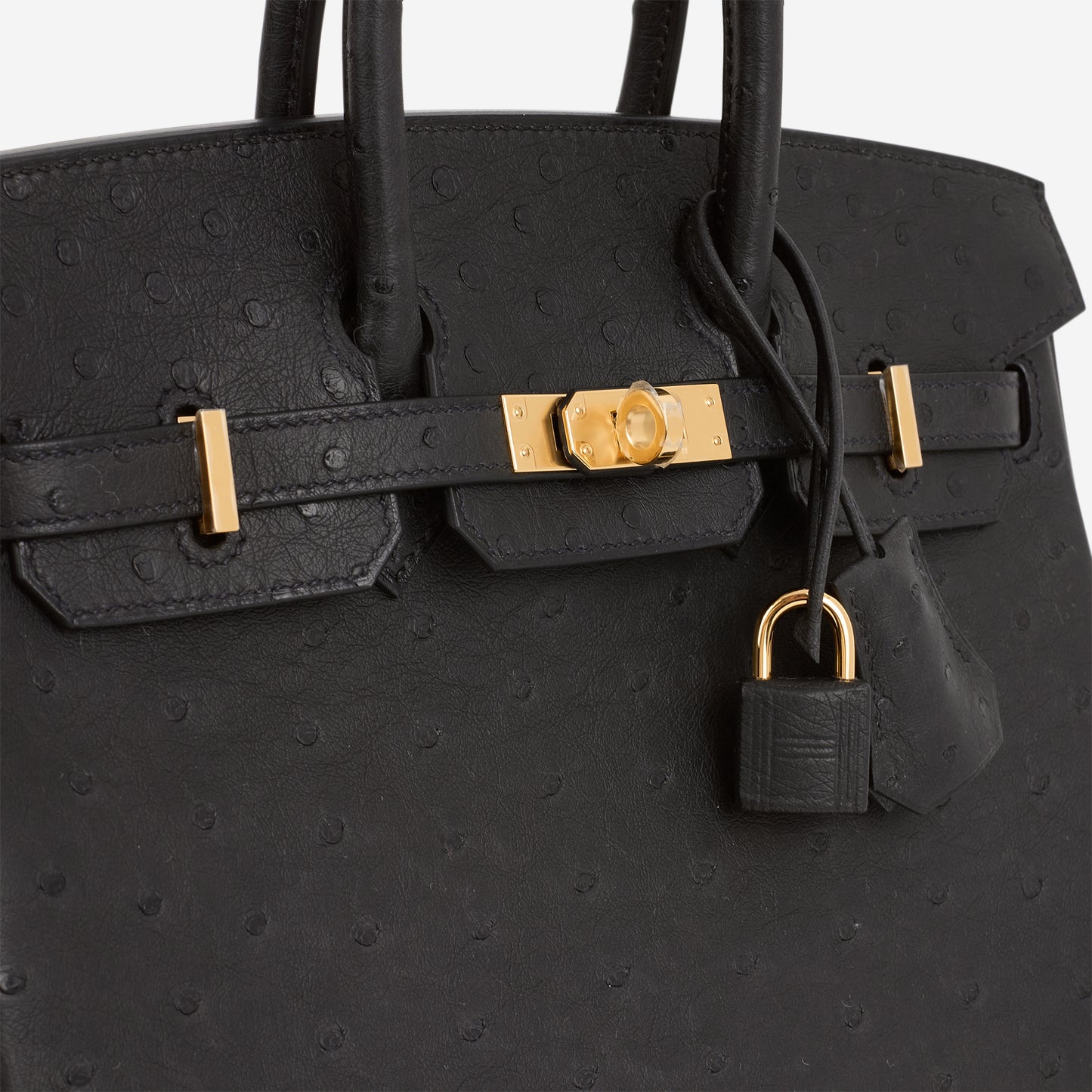 Hermès Birkin 25 - Black Ostrich | Gold Hardware