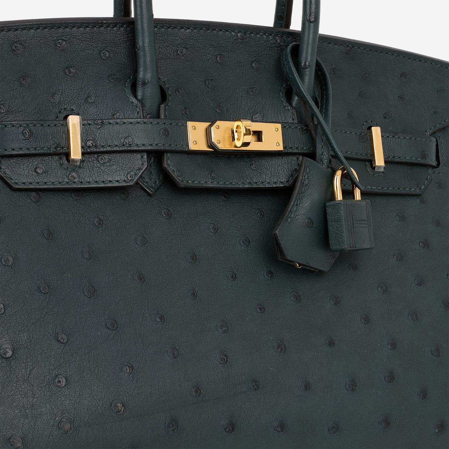 Hermès Birkin 25 - Vert Cypres Ostrich | Gold Hardware