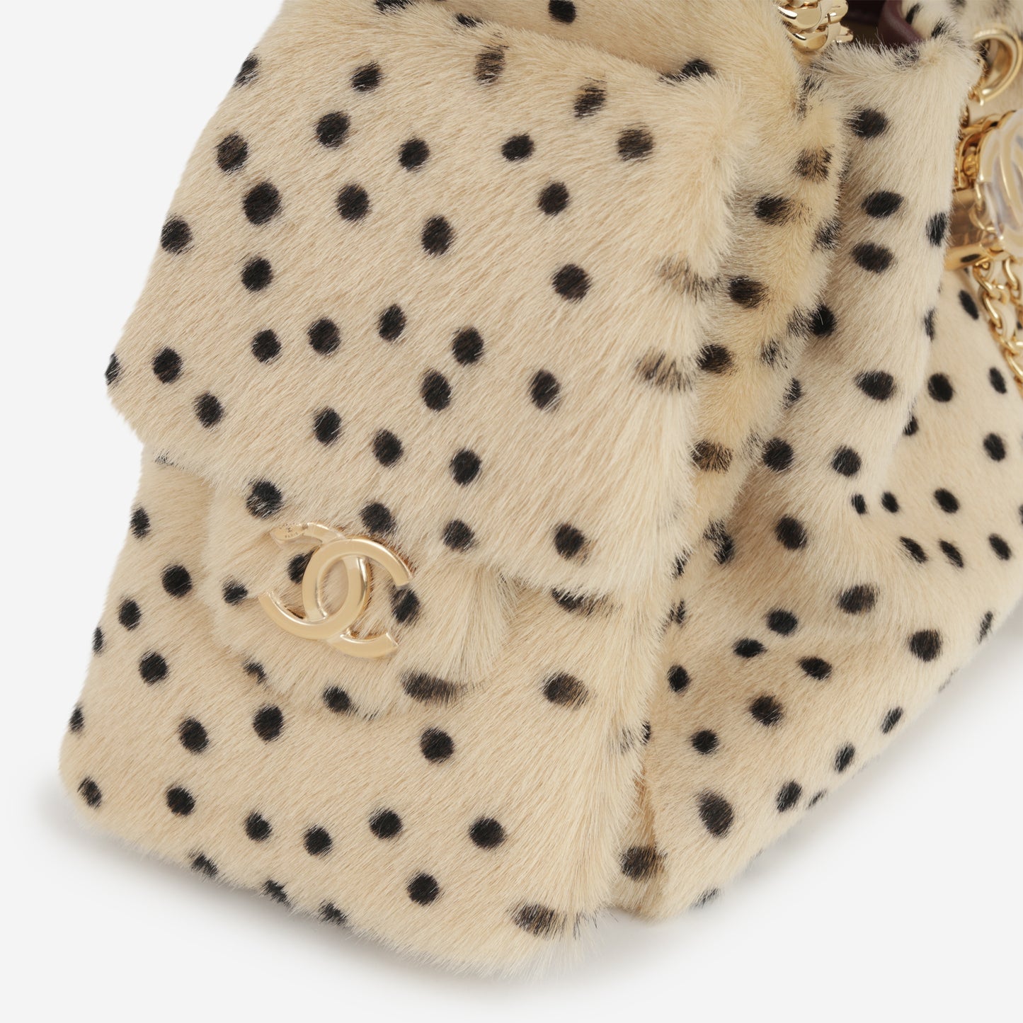 Chanel Metiers D'Art Mini 25 Hobo - Dalmatian Print | Polished Gold Hardware