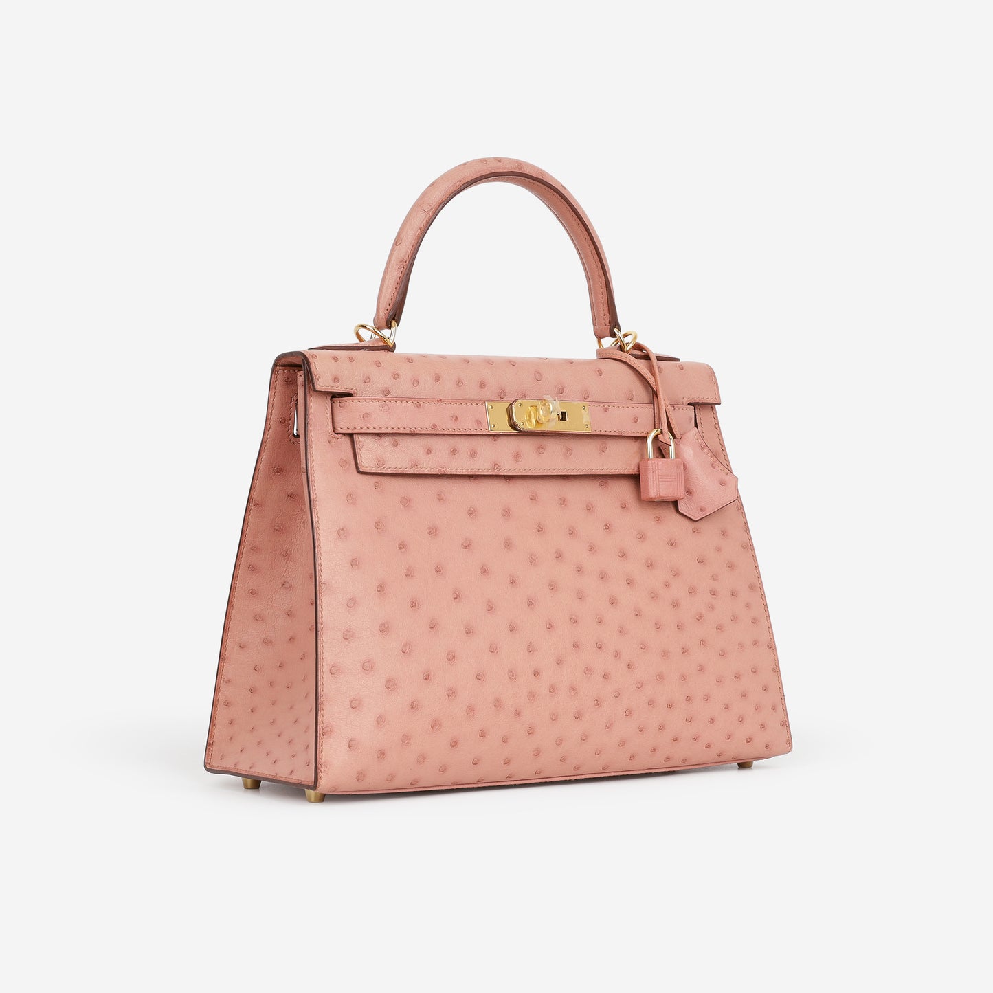 Hermès Kelly 28 - Terre Cuite Ostrich | Gold Hardware