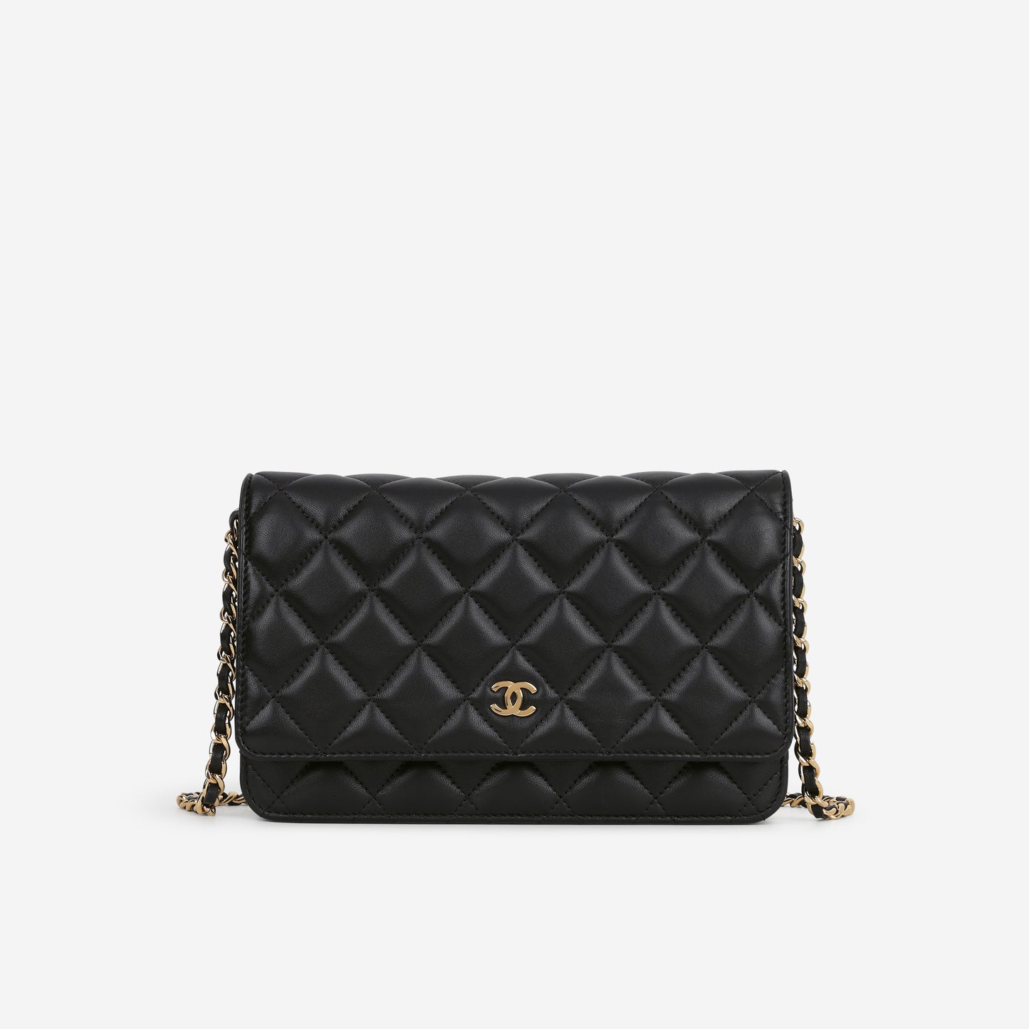Chanel Seasonal WOC - Black Lambskin | Gold Hardware