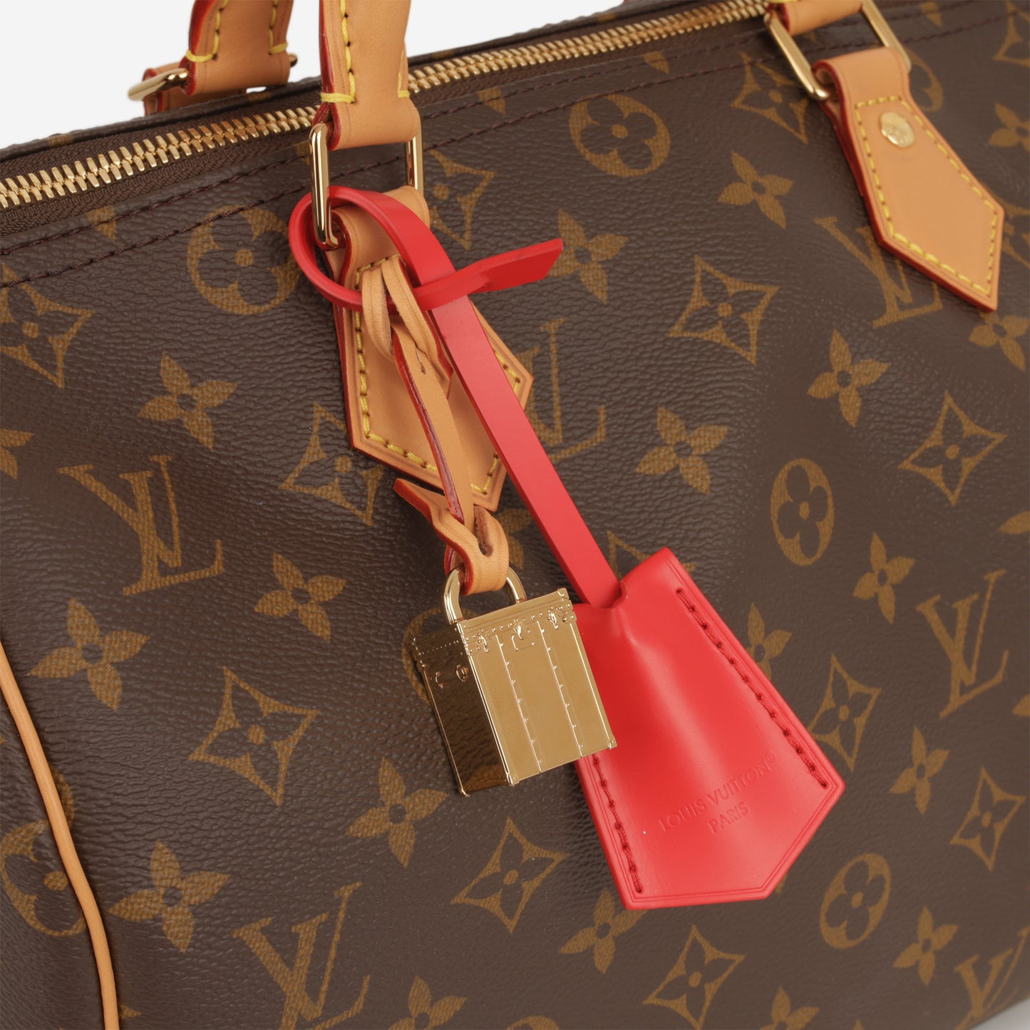 Louis Vuitton Soft 30 Crafty - Monogram | Gold Hardware