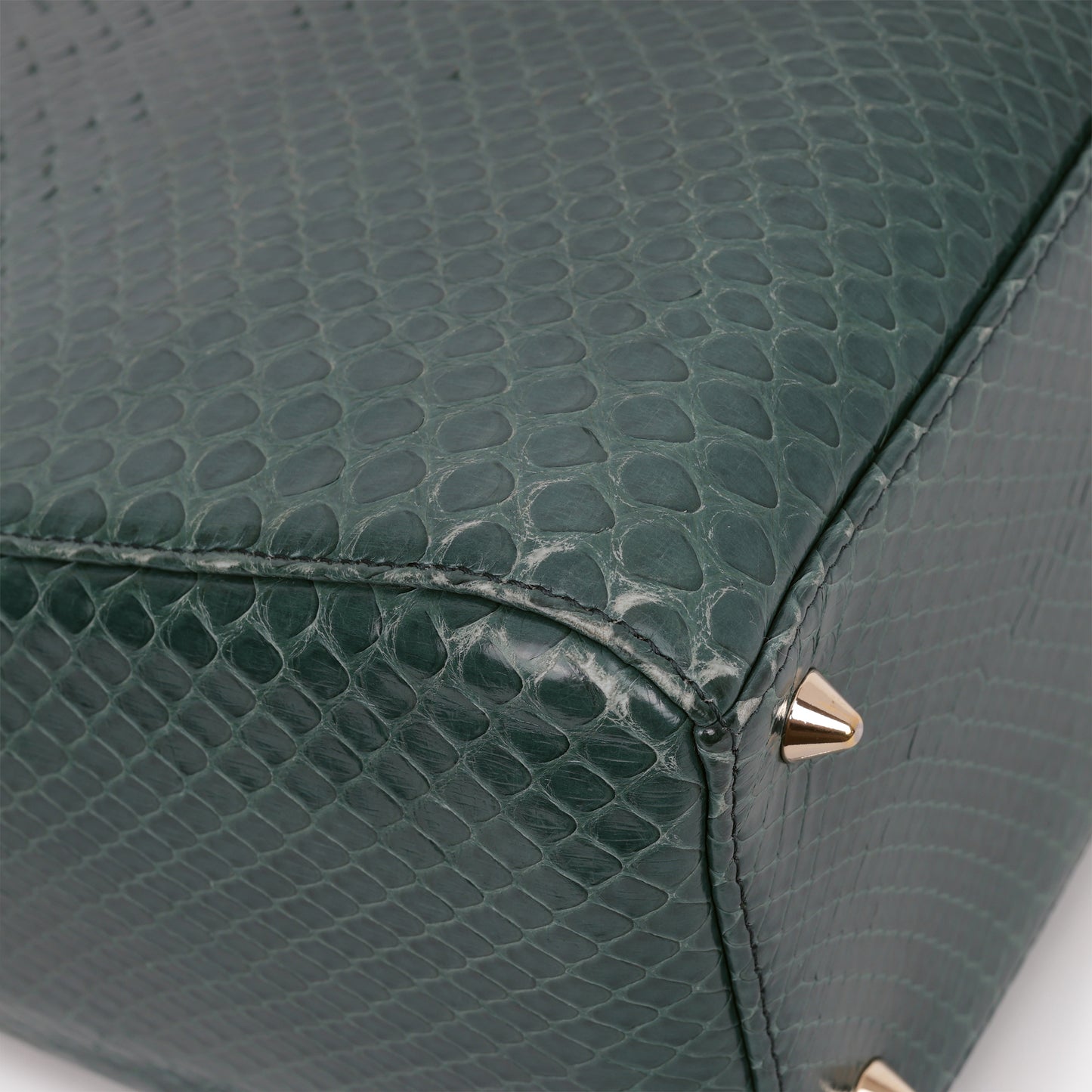 Medium Lady Dior - Green Watersnake skin | Champagne Gold Hardware