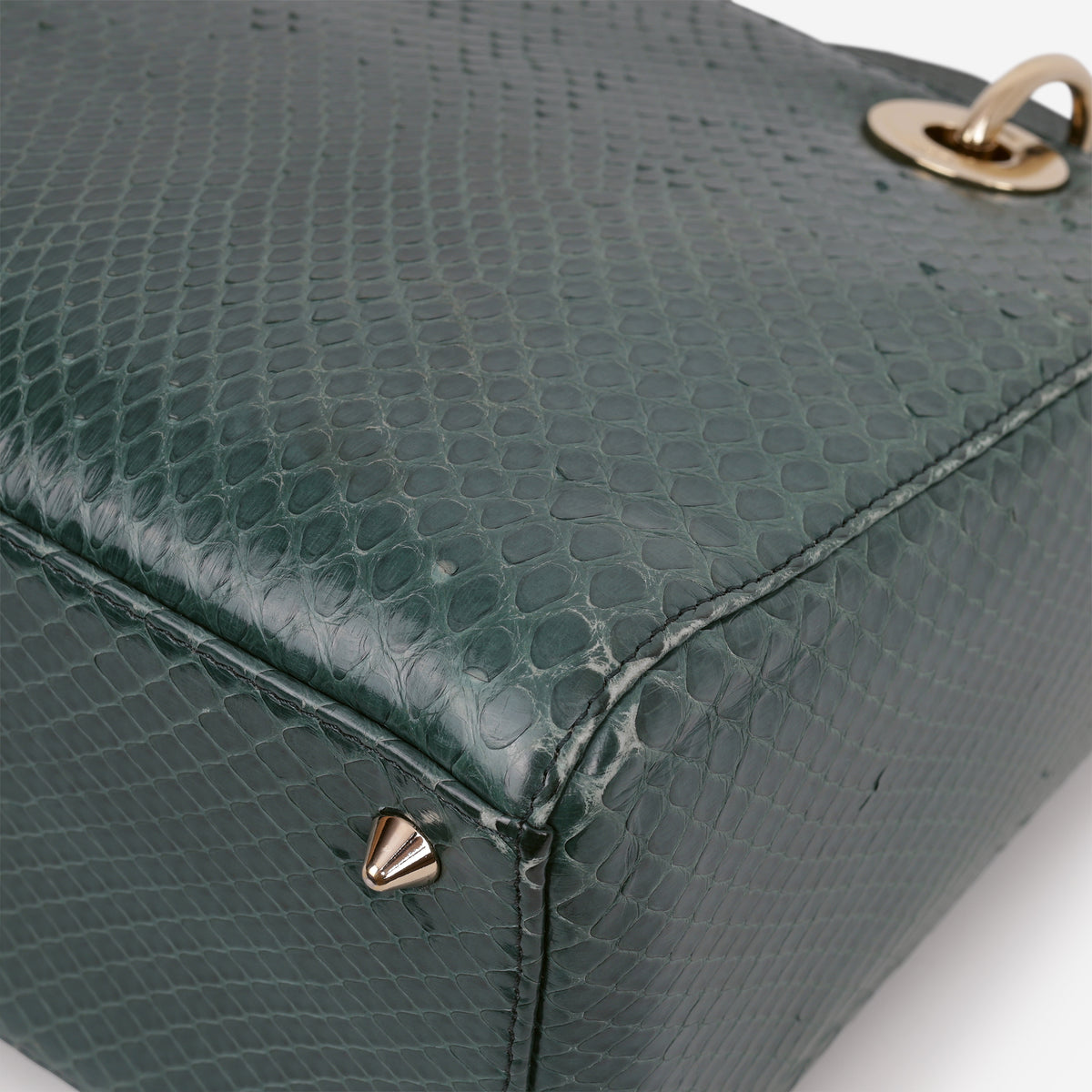 Medium Lady Dior - Green Watersnake skin | Champagne Gold Hardware
