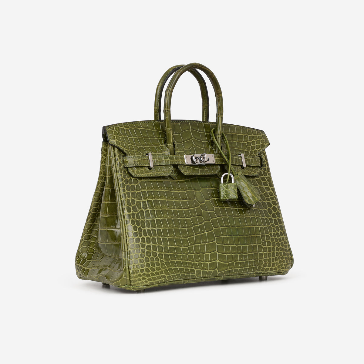 Hermès Birkin 25 - Vert Veronese Crocodile Porosus | Palladium Hardware