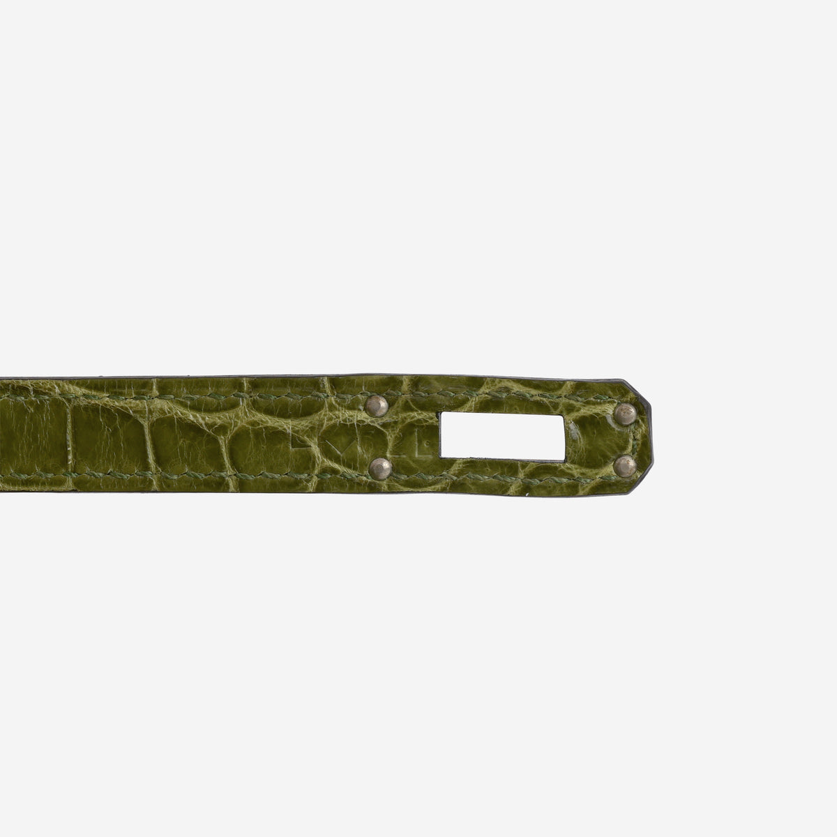 Hermès Birkin 25 - Vert Veronese Crocodile Porosus | Palladium Hardware