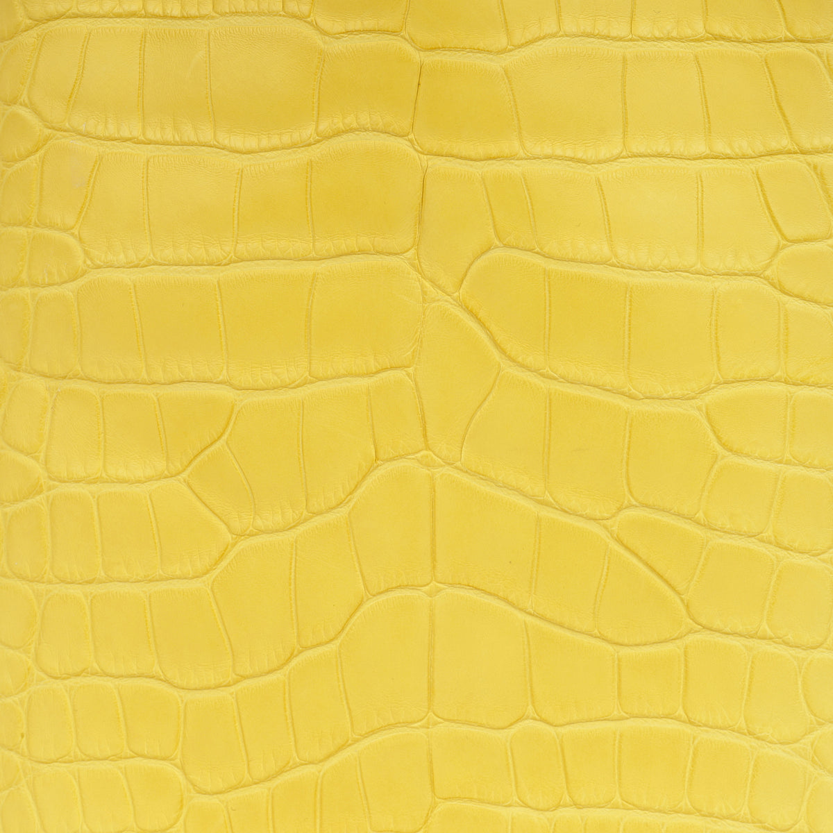 Hermès Picotin 18 - Mimosa Alligator Mississippiensis | Palladium Hardware