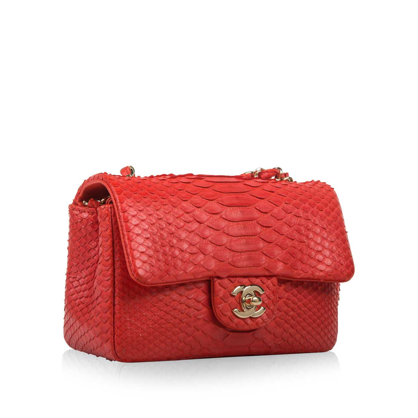 Classic Flap Bag - Mini Rectangular - Python