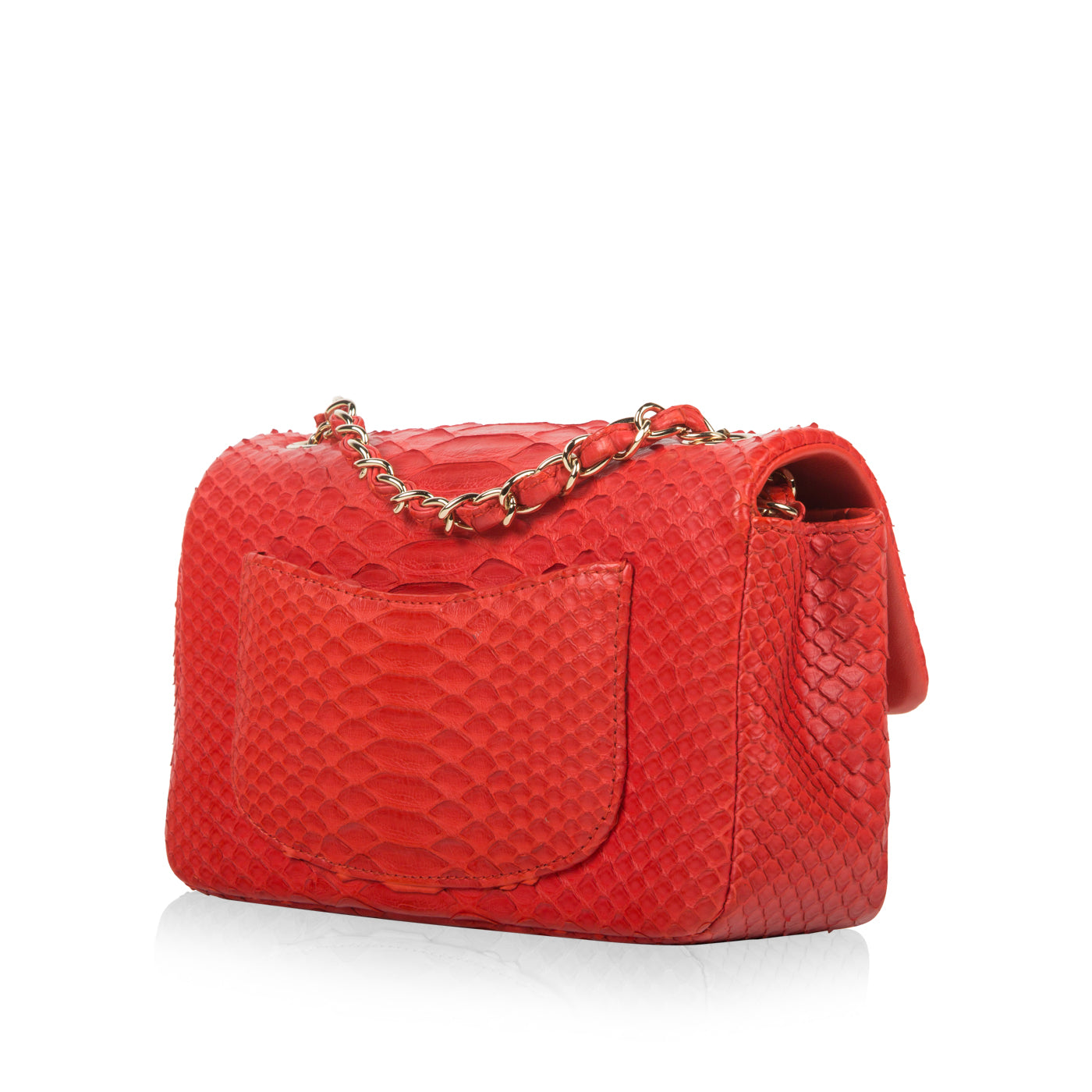 Classic Flap Bag - Mini Rectangular - Python