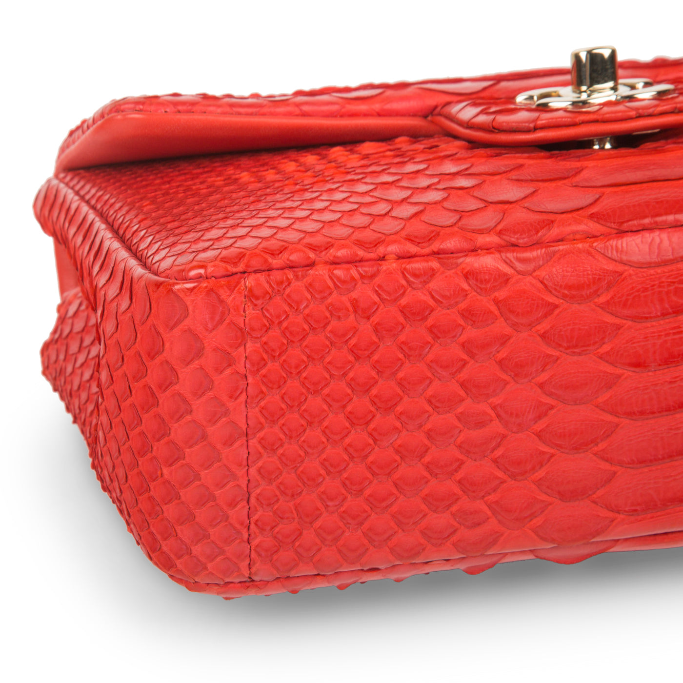 Classic Flap Bag - Mini Rectangular - Python