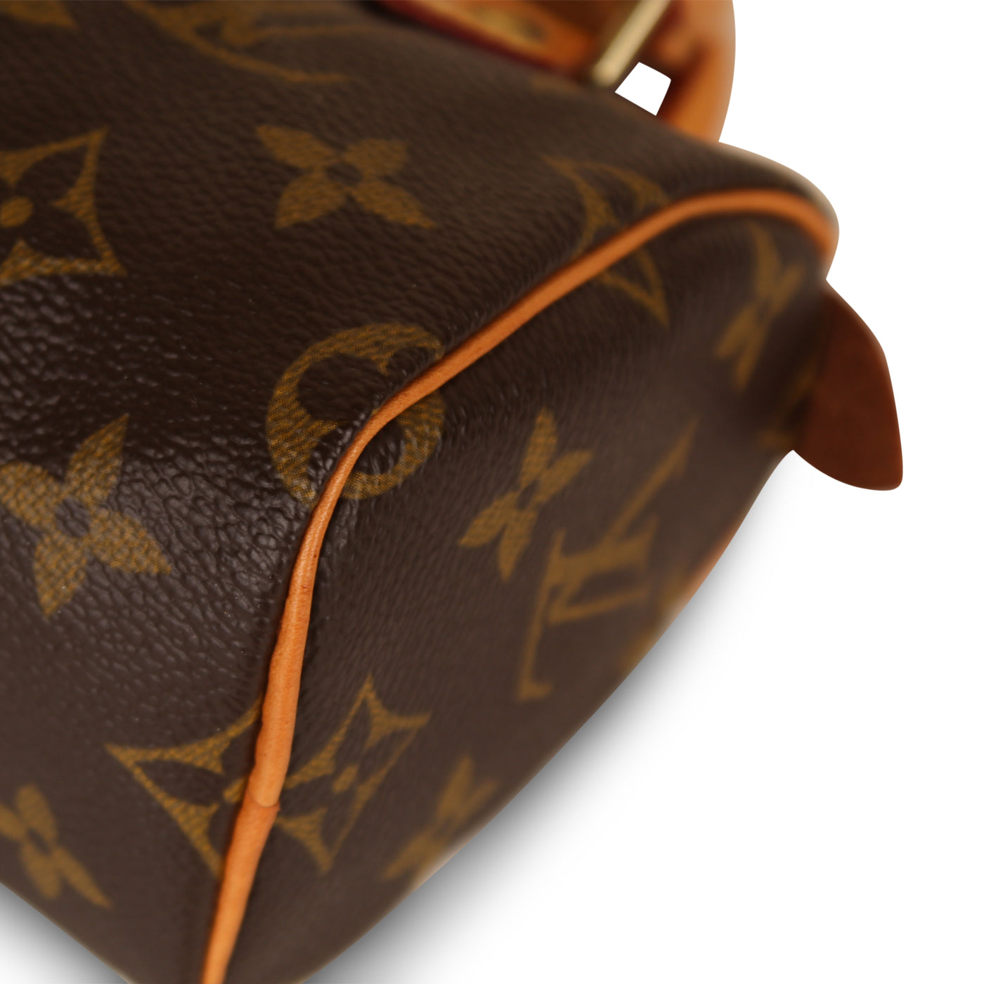 Nano Speedy - Monogram Canvas