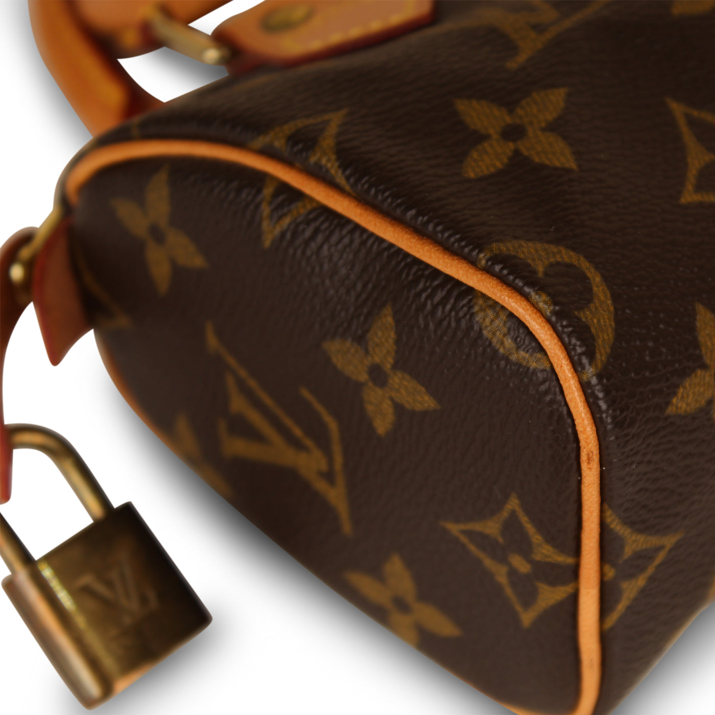 Nano Speedy - Monogram Canvas