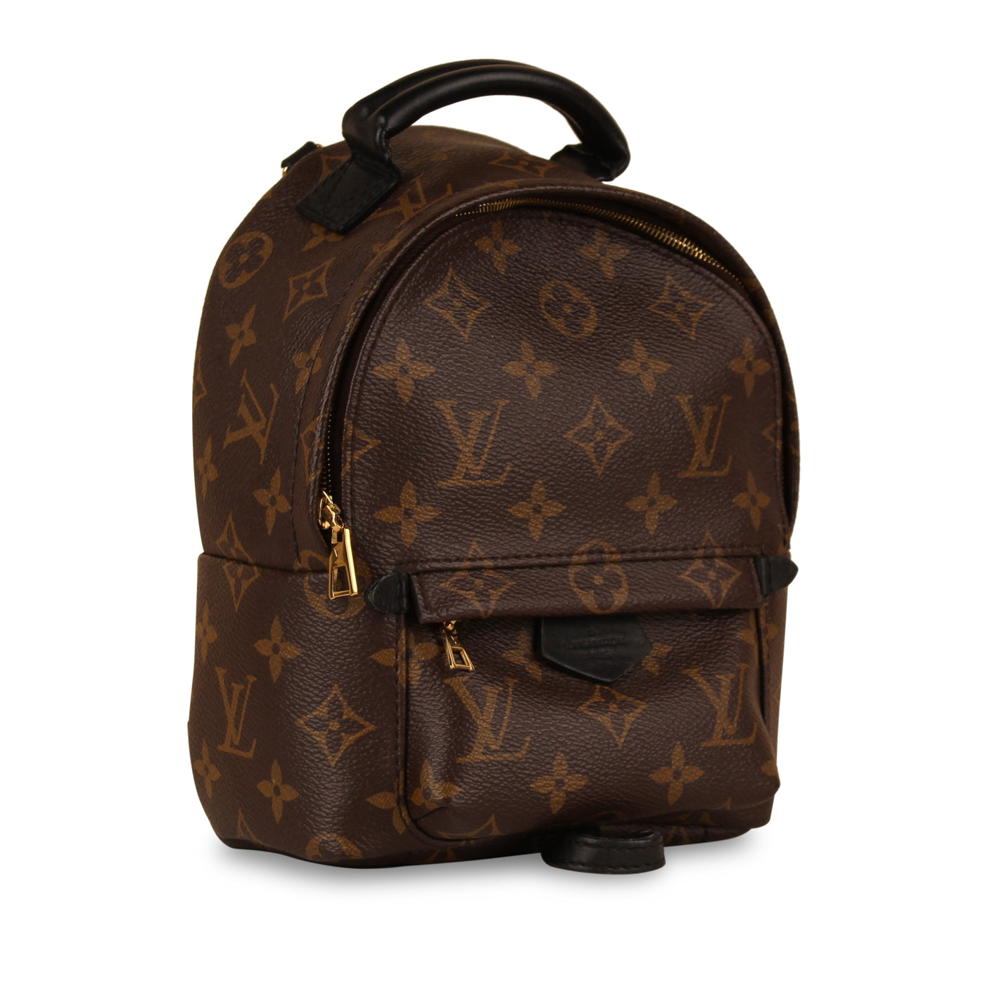 Louis Vuitton Palm Springs Mini backpack