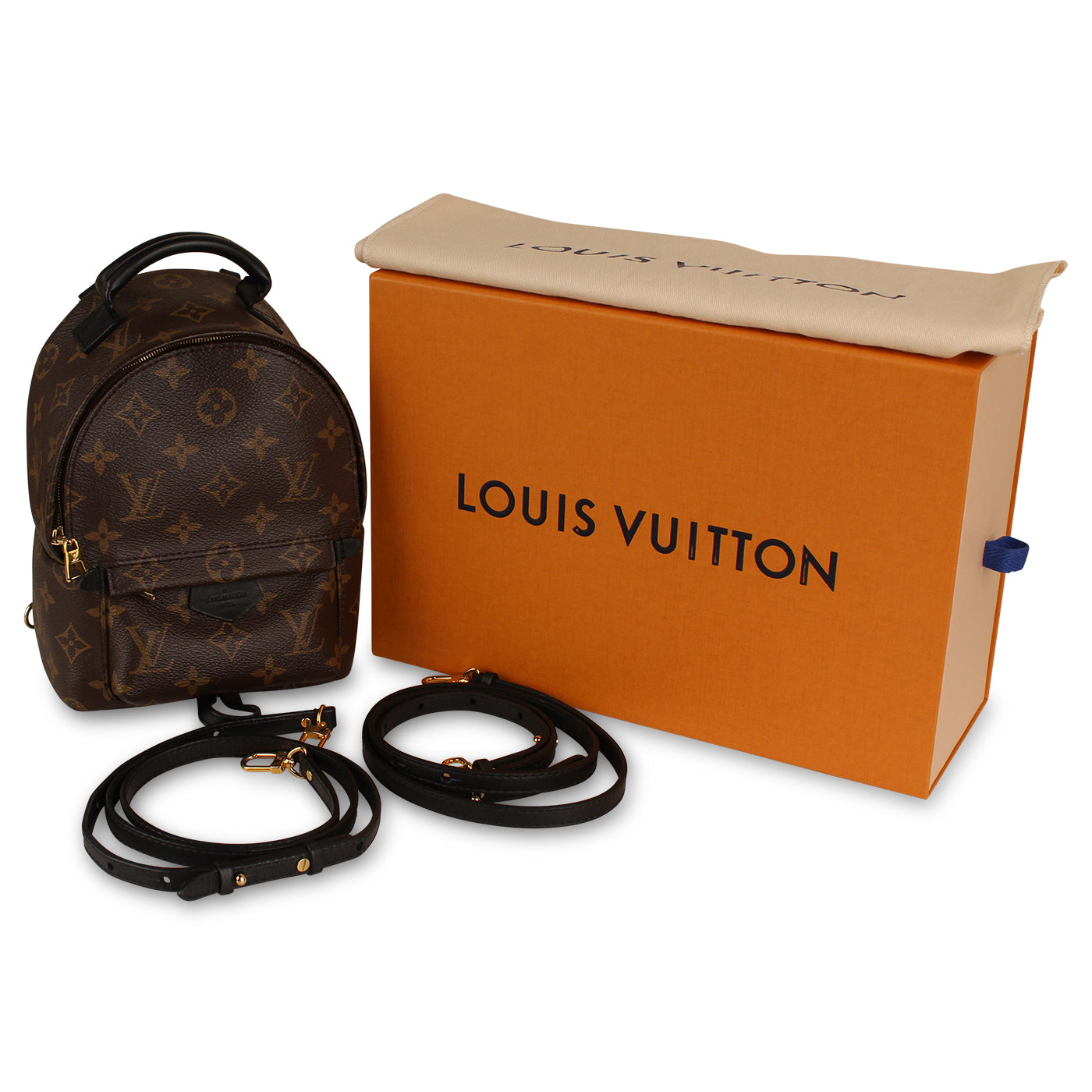 Louis Vuitton, Bags, Rare Louis Vuitton Mini Palm Spring Bracelet Backpack  Micro Lv