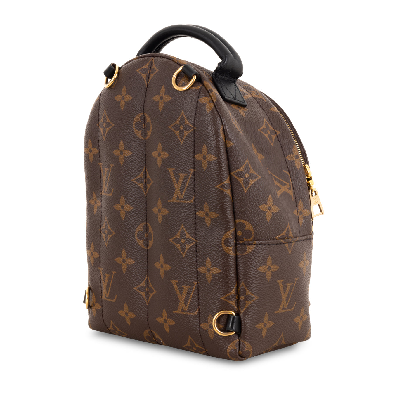 Palm Springs Backpack