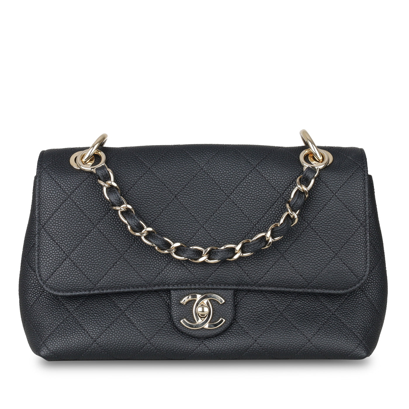 Chanel Seasonal Flap Bag