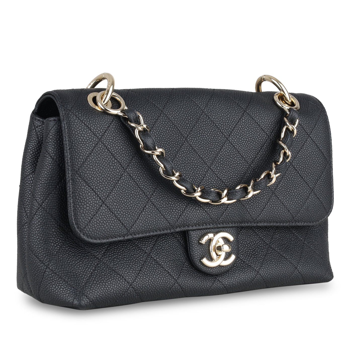 Chanel Seasonal Flap Bag