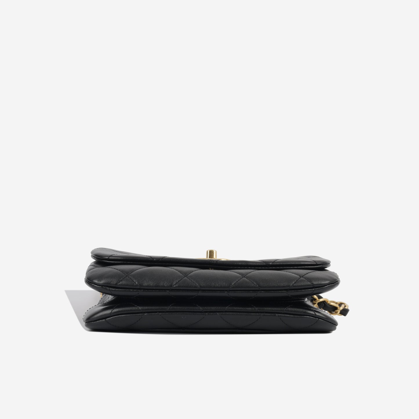 Seasonal Rainbow Chain Flap - Black Goatskin GHW