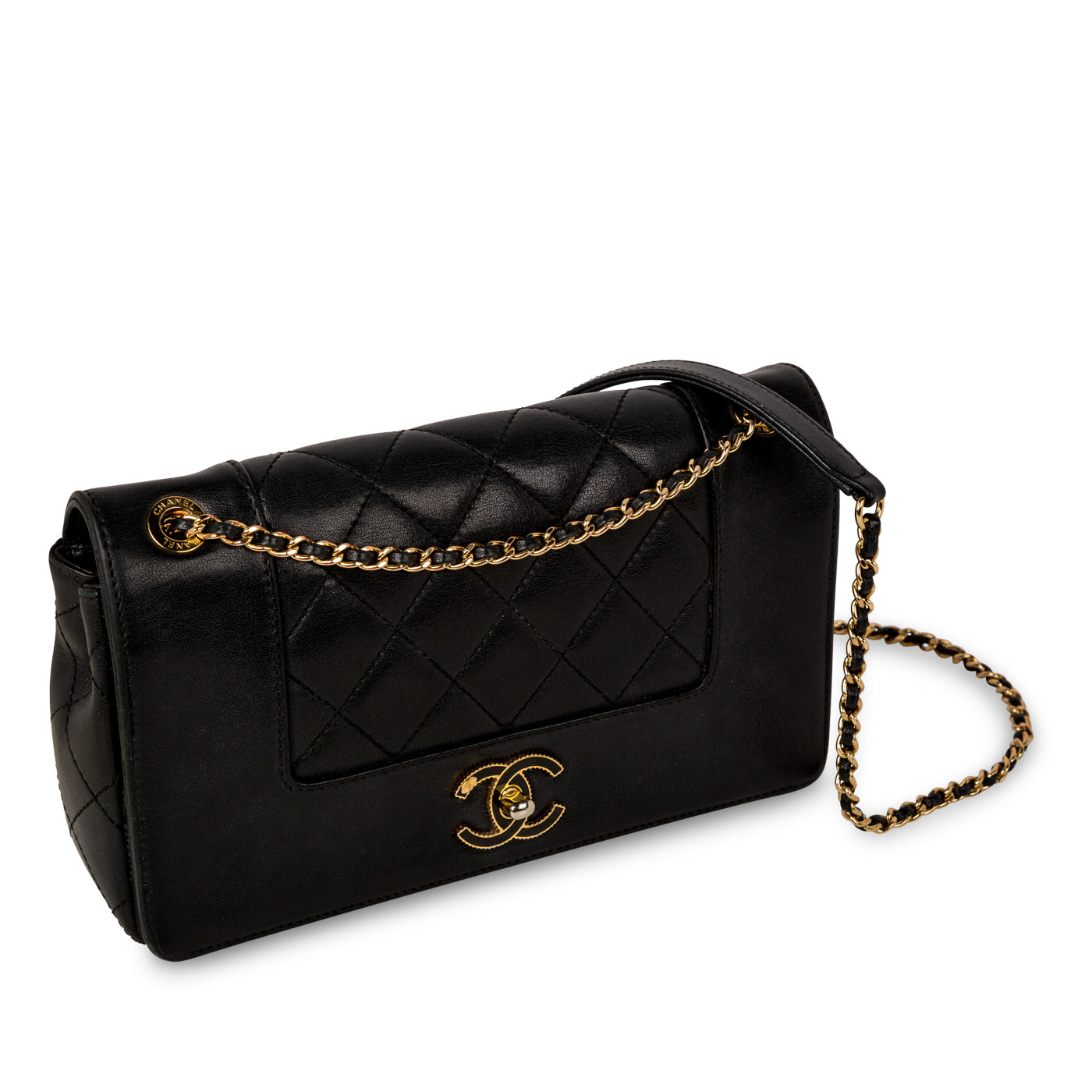 Paris in Rome Mademoiselle Flap Bag