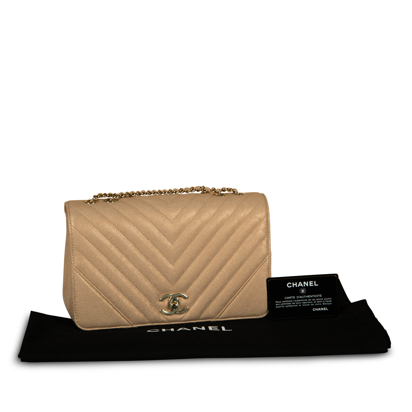 Iridescent Chevron Statement Flap Bag