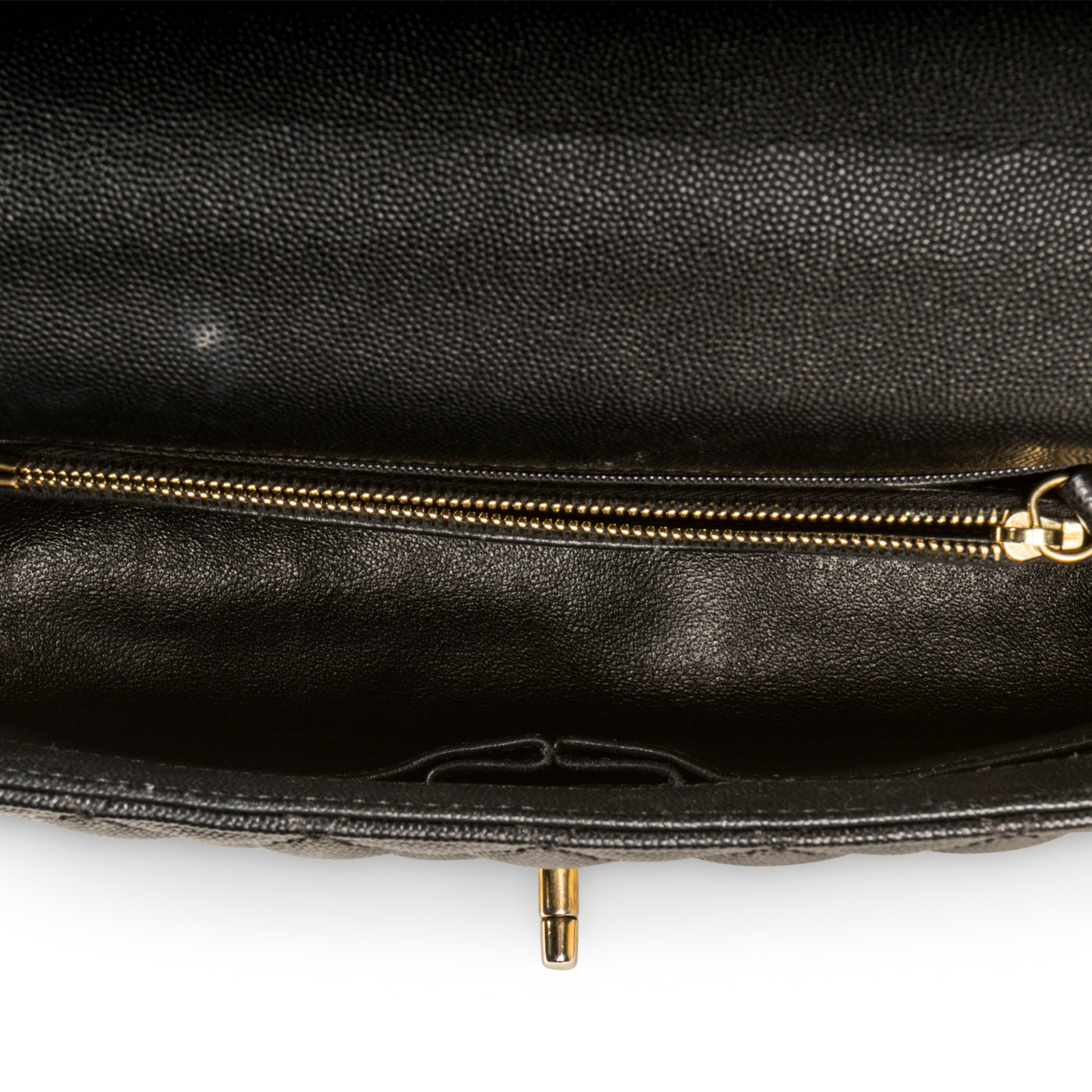 Coco Handle Flap Bag - Lizard Handle