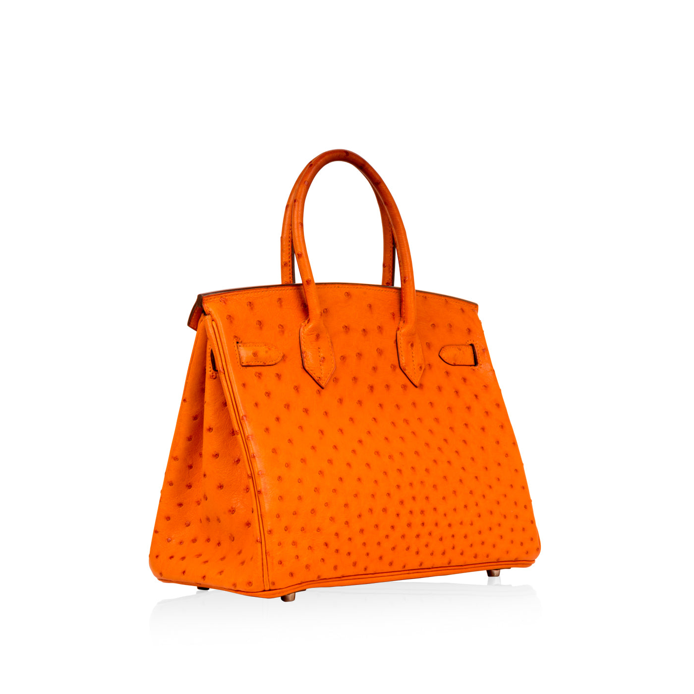 Birkin 30 - Ostrich