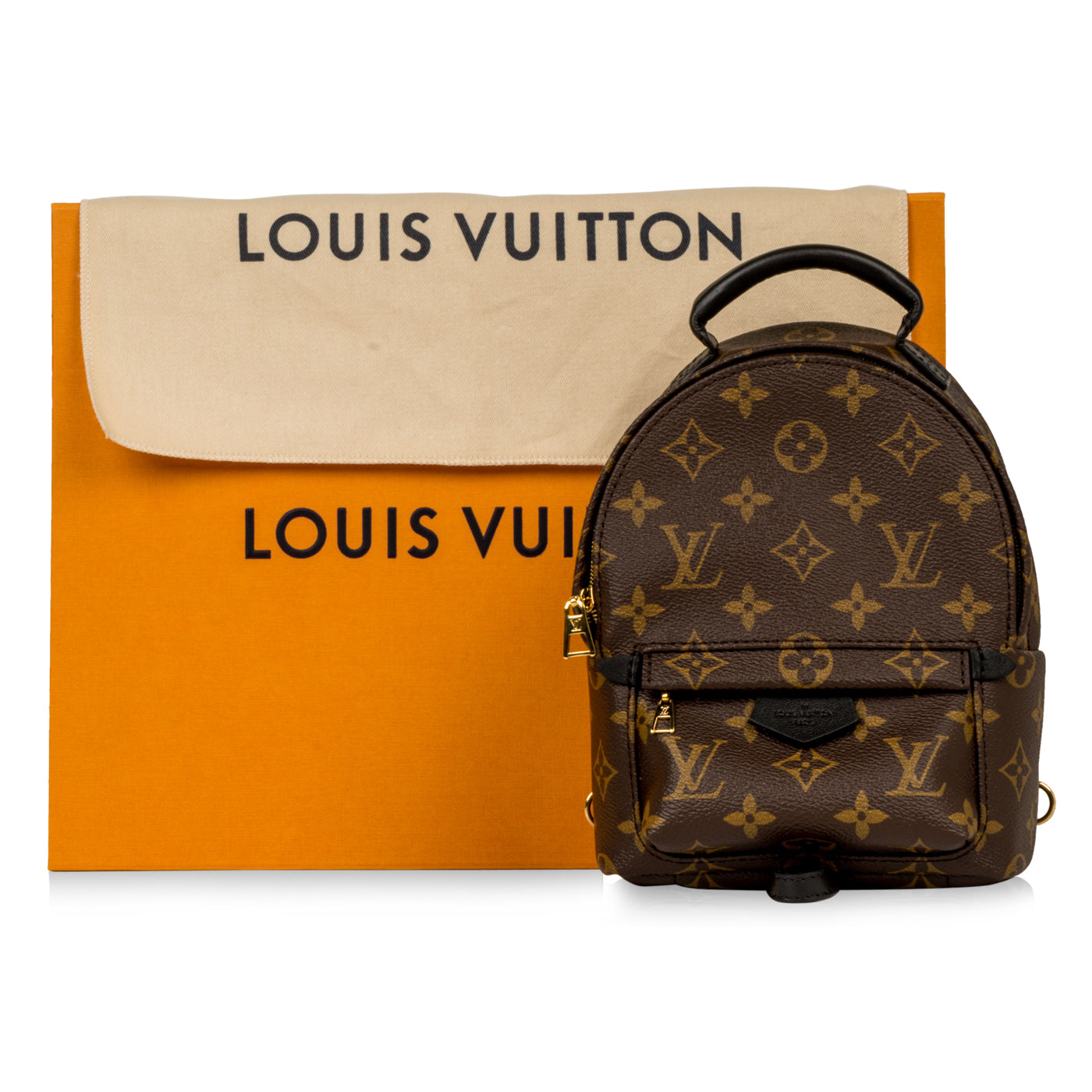 Louis Vuitton Mini Palm Springs